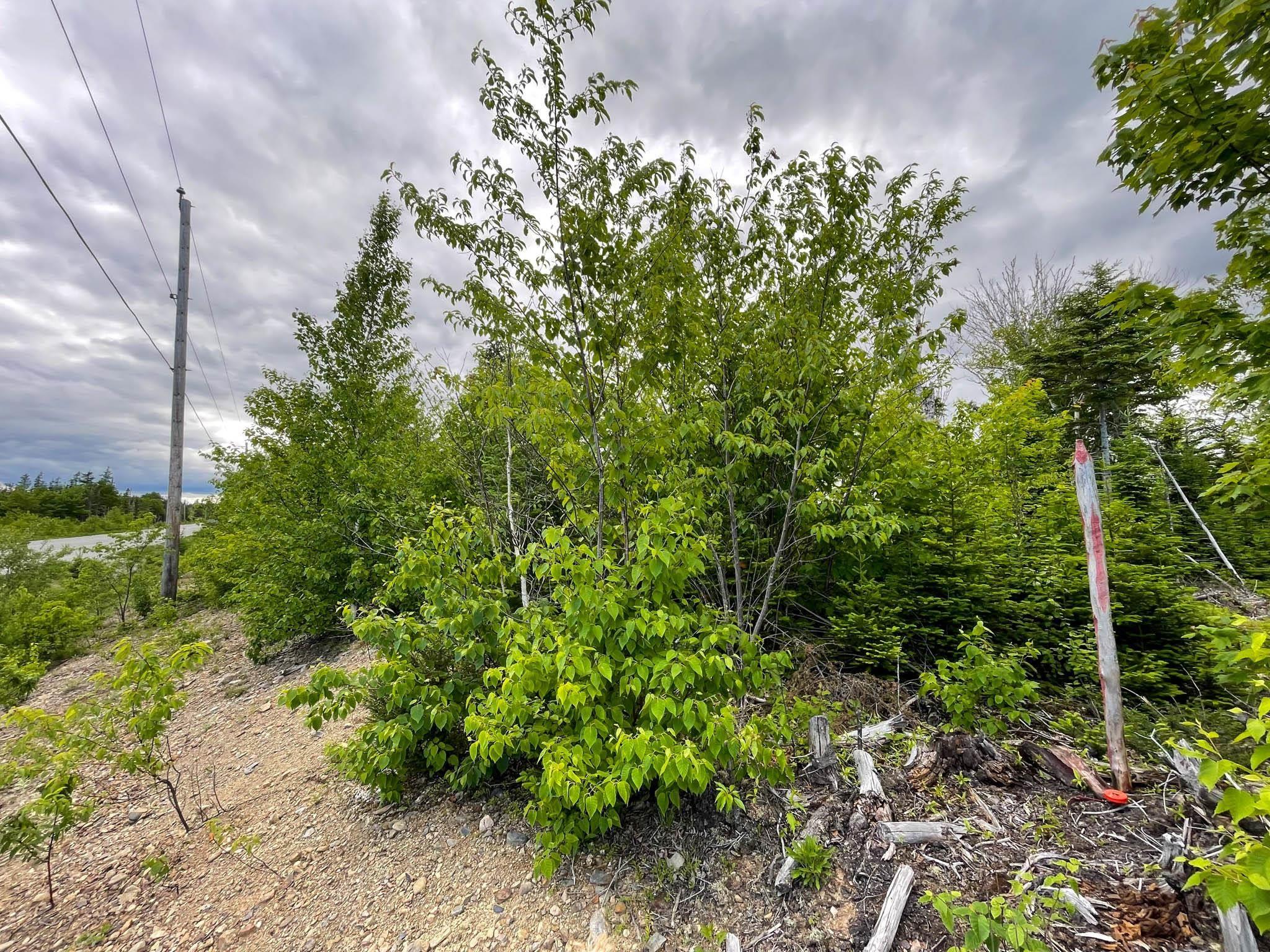 $59,900.00: Shieling Drive, Marion Bridge