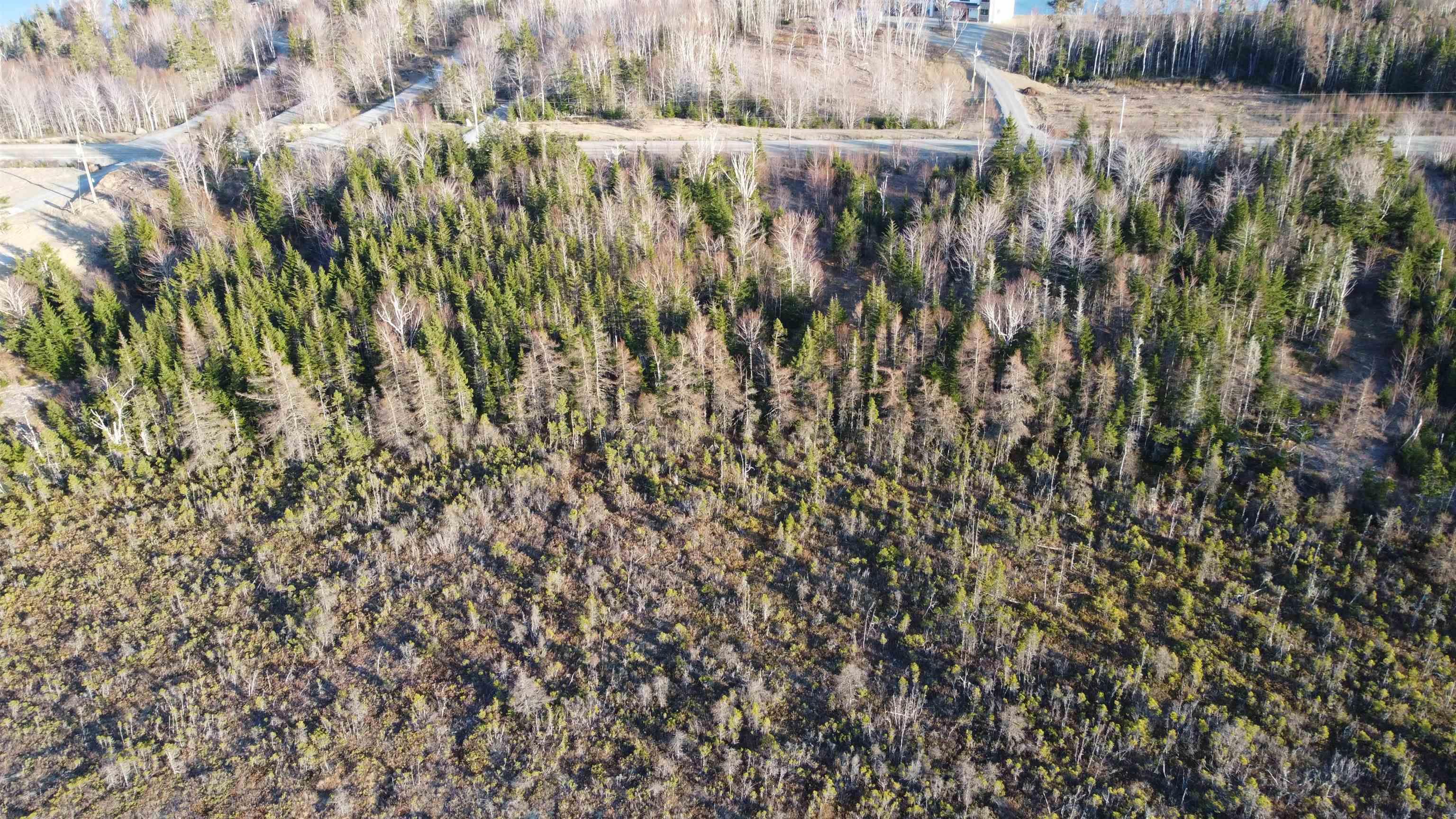$59,900.00: Shieling Drive, Marion Bridge