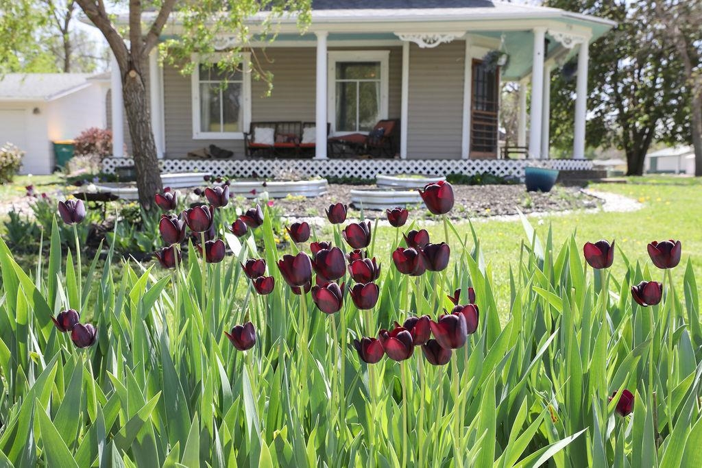 715 10th Street, Milford, IA 51351 