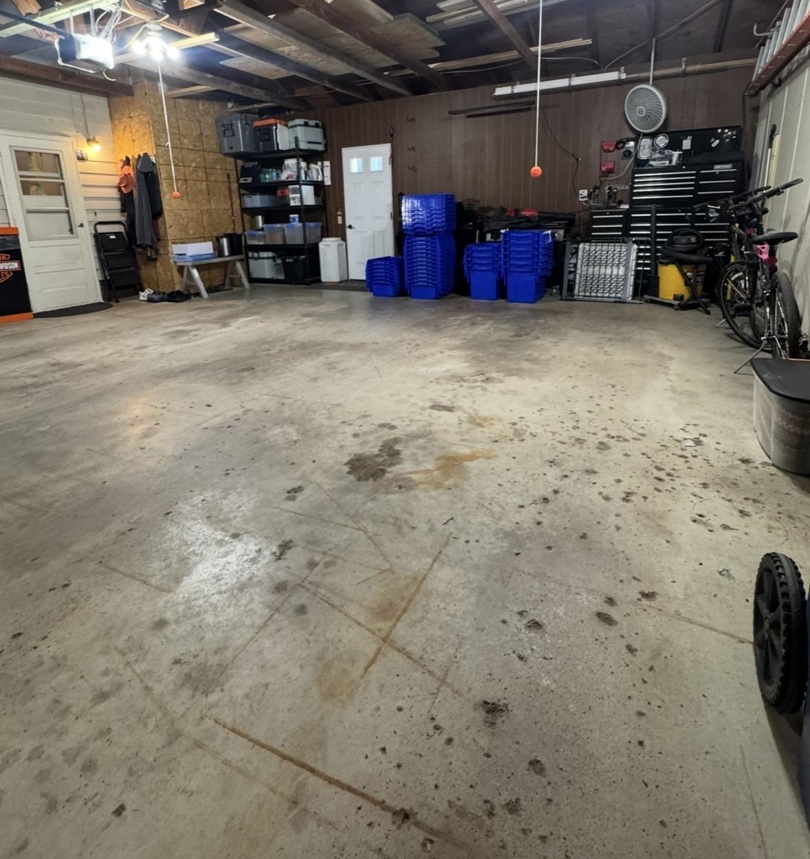 MLS #260596
