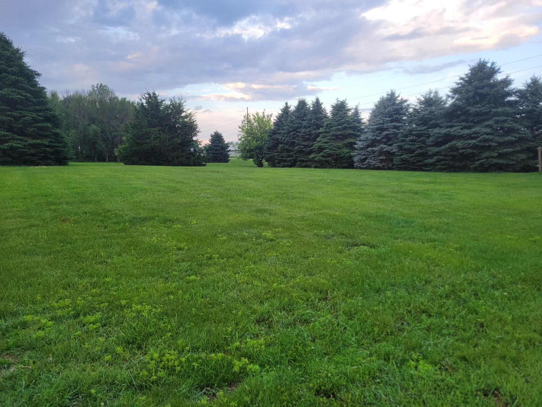 MLS #260632