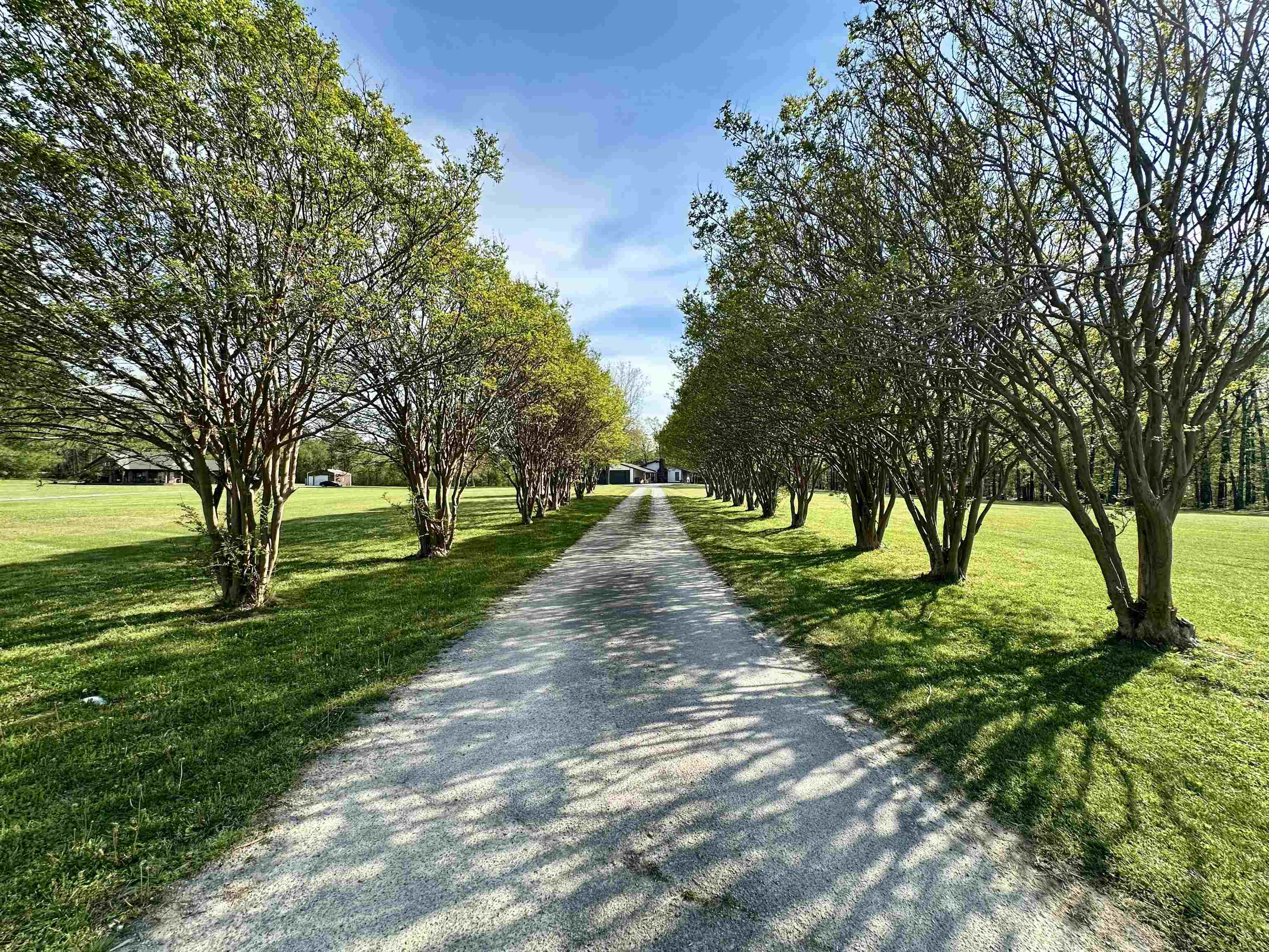 Hard to find 10+ acres with a move-in ready home in Fayette County! Located at the end of a dead-end street, this 3-bedroom, 2-bath home offers privacy, flexibility, and future potential. The 10.2 acres are split into two separate 5.1-acre tracts—perfect for a second homesite, guest house, or investment opportunity. Inside features an open kitchen and living area ideal for entertaining, plus a spacious dining room for gatherings. Major updates include a roof approximately 3 years old and freshly painted exterior siding and trim. Outside, enjoy a large open yard around the home with wooded acreage behind, offering privacy, wildlife, and room to explore. Properties with this much land, flexibility, and location don’t come up often—schedule your showing today!