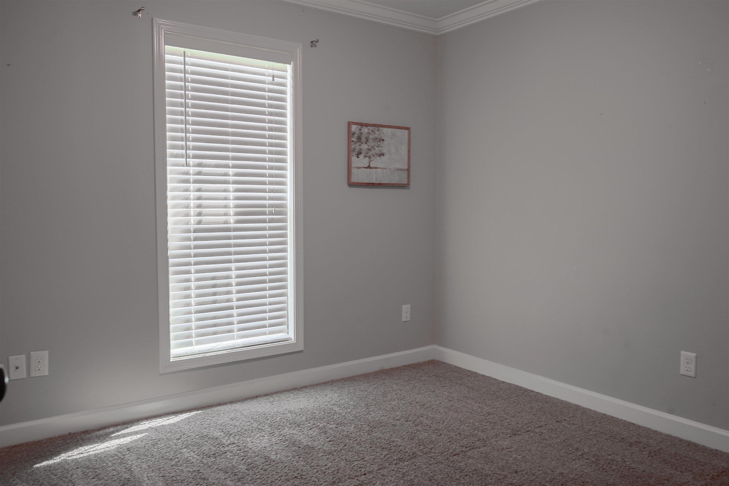 properties-photo