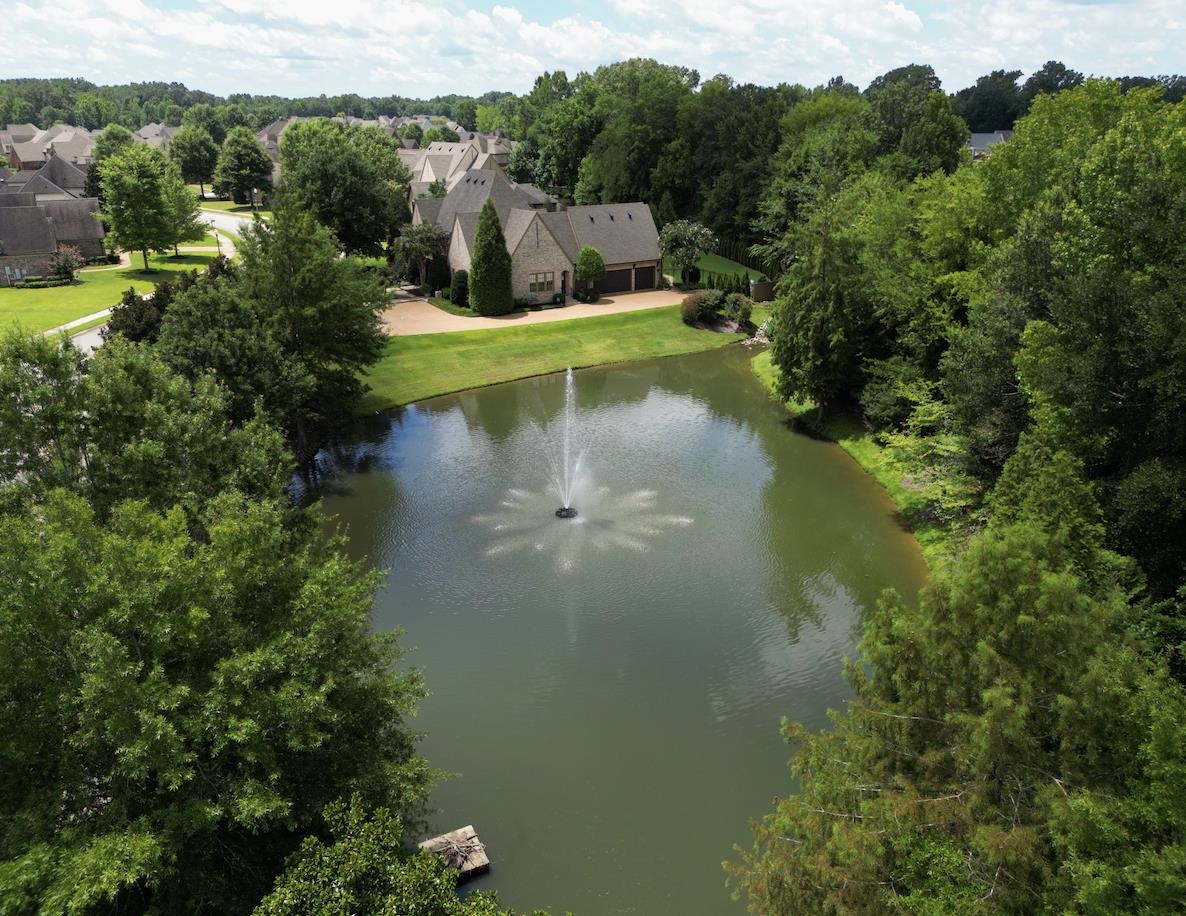115 Magnolia Ridge Dr
