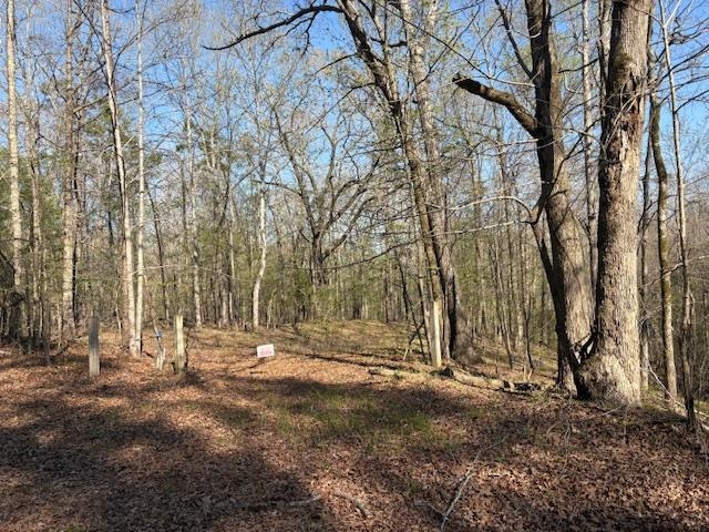 24.2 wooded acres in Hornsby, TN