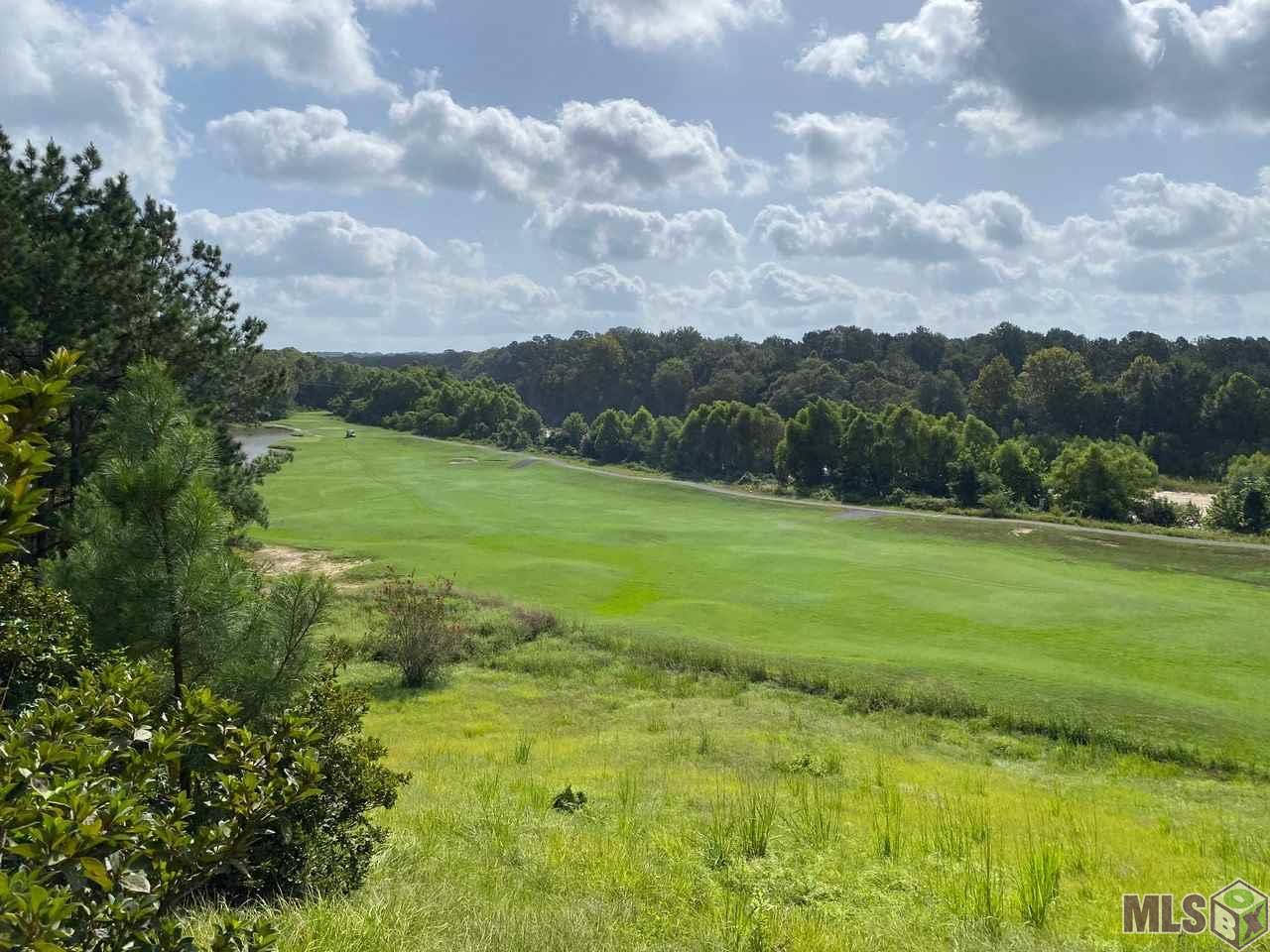 14171 AUDUBON TRACE, St. Francisville, LA 70775