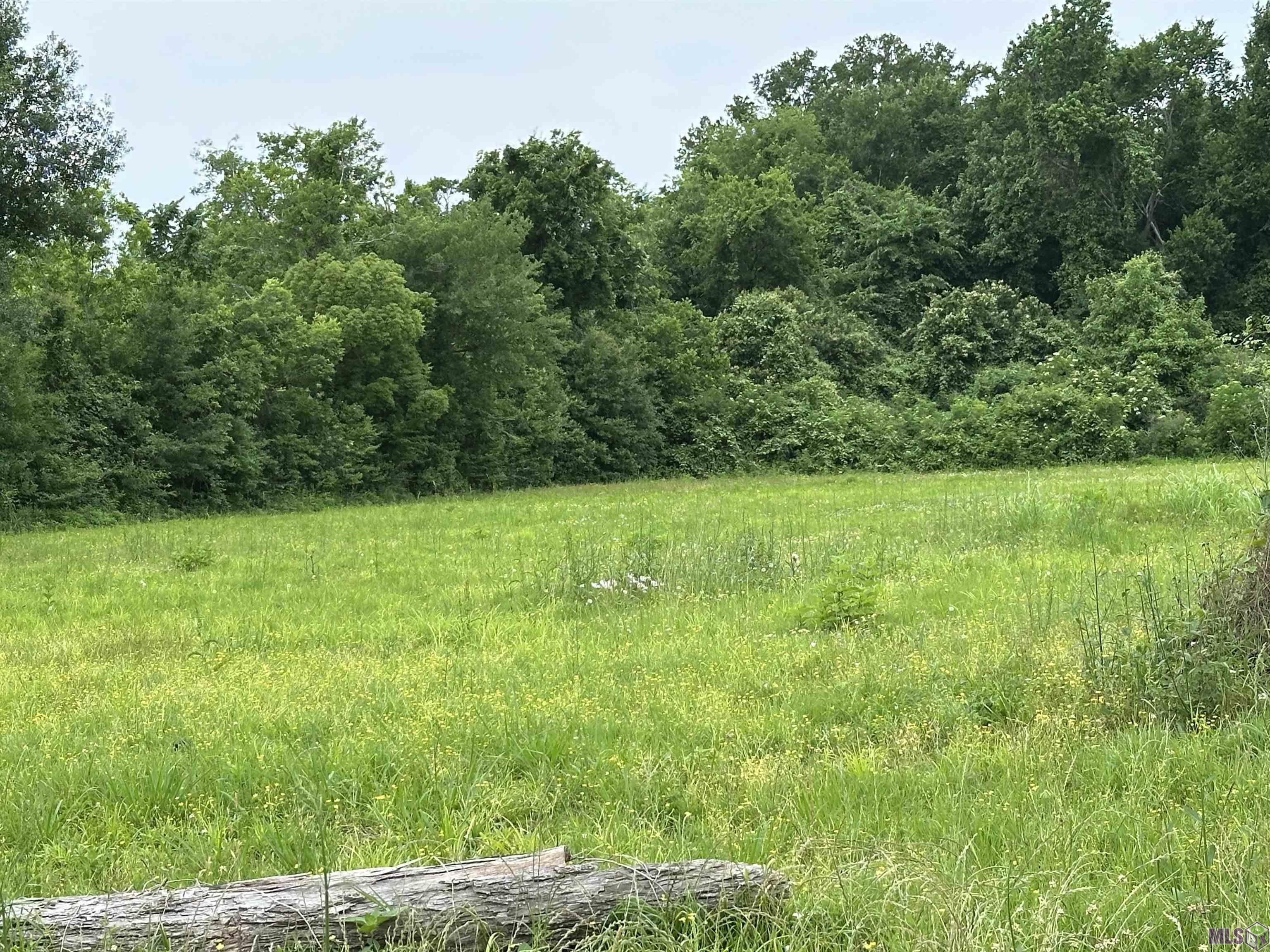 2244 AUDUBON AVE, Thibodaux, LA 70301