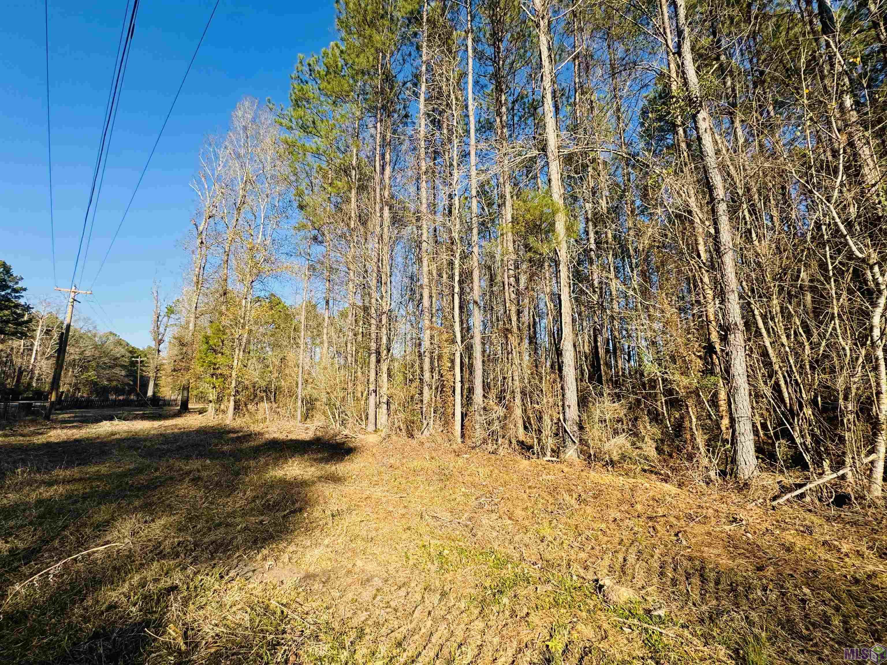 Lot 21 LA HWY 449, Pine Grove, LA 70453