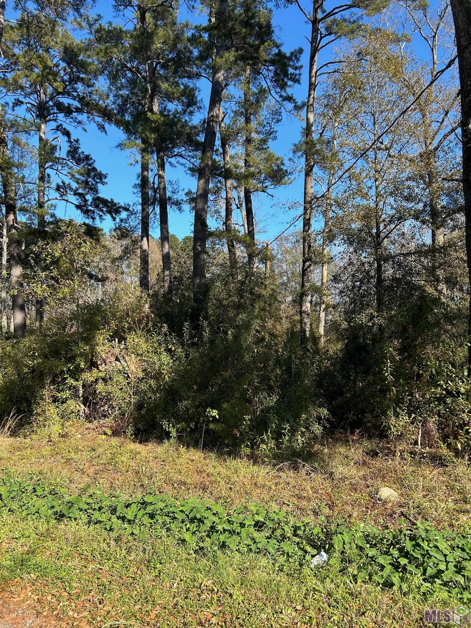 Lot 15 MAGNOLIA DR, Walker, LA 70785