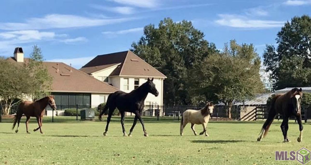 14247 BLACKWATER RD, Central, LA 70714