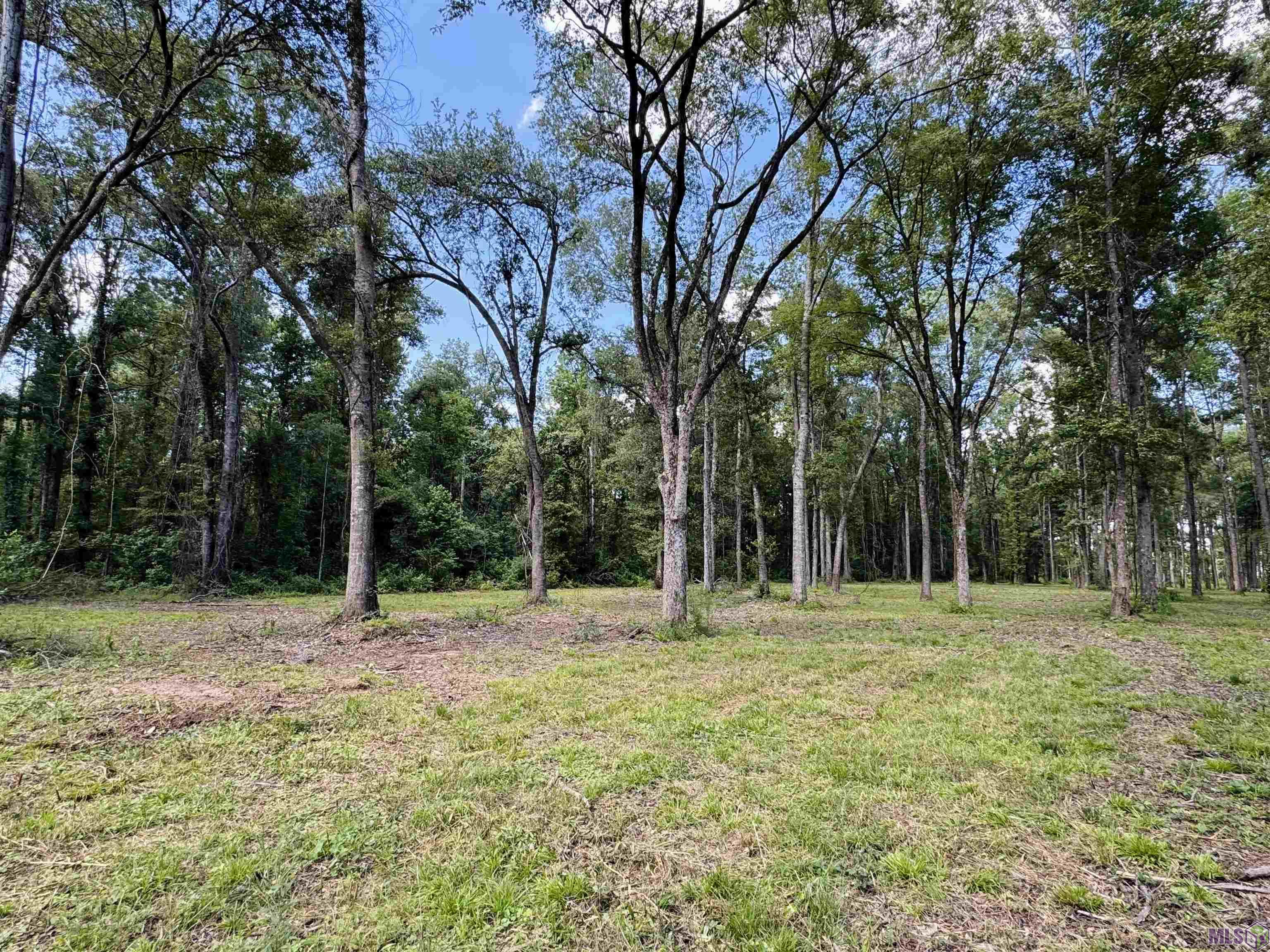 RS-2&3 LA HWY 16, Denham Springs, LA 70706