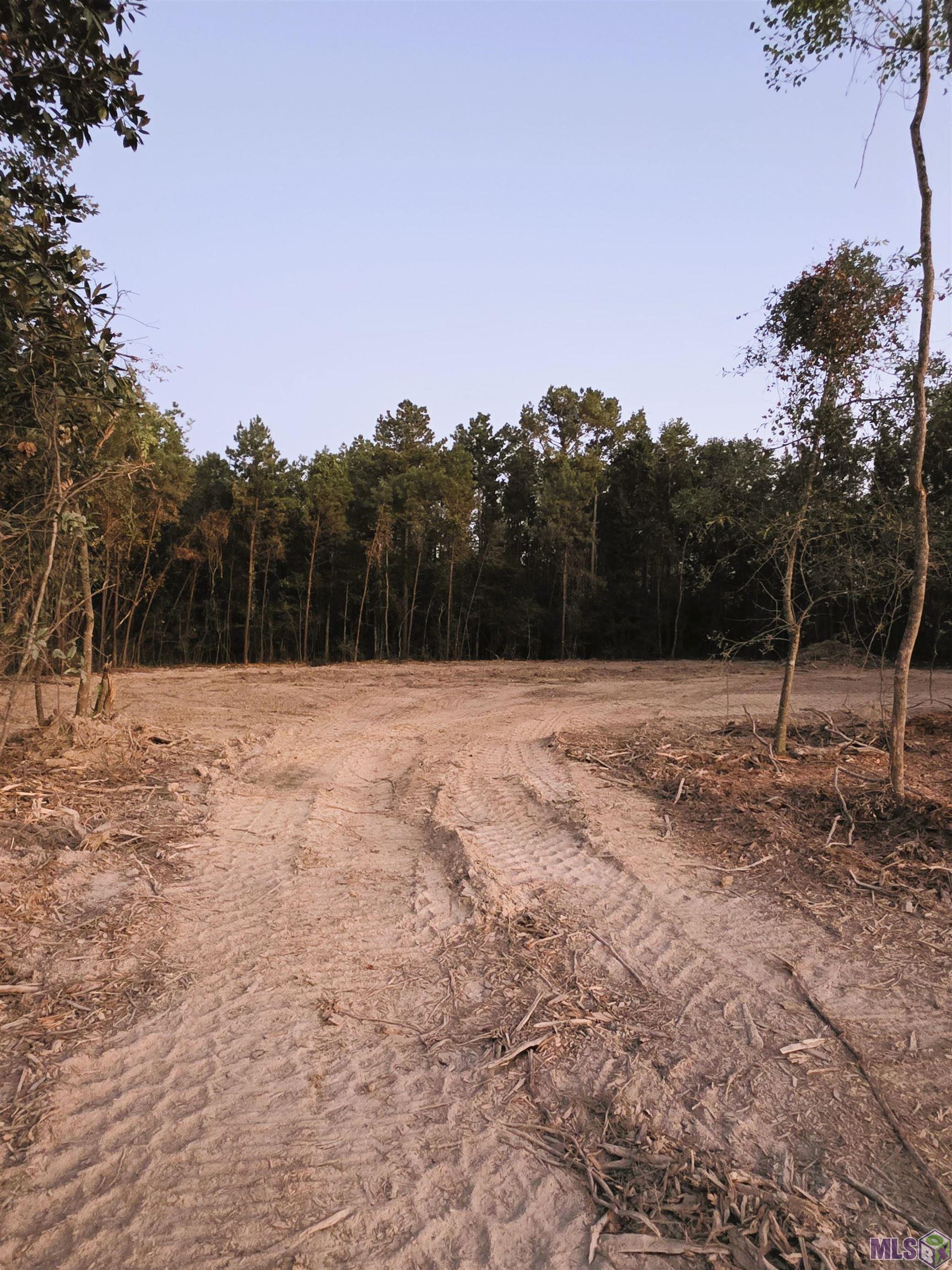 17243 JACK ALLEN RD, Livingston, LA 70754