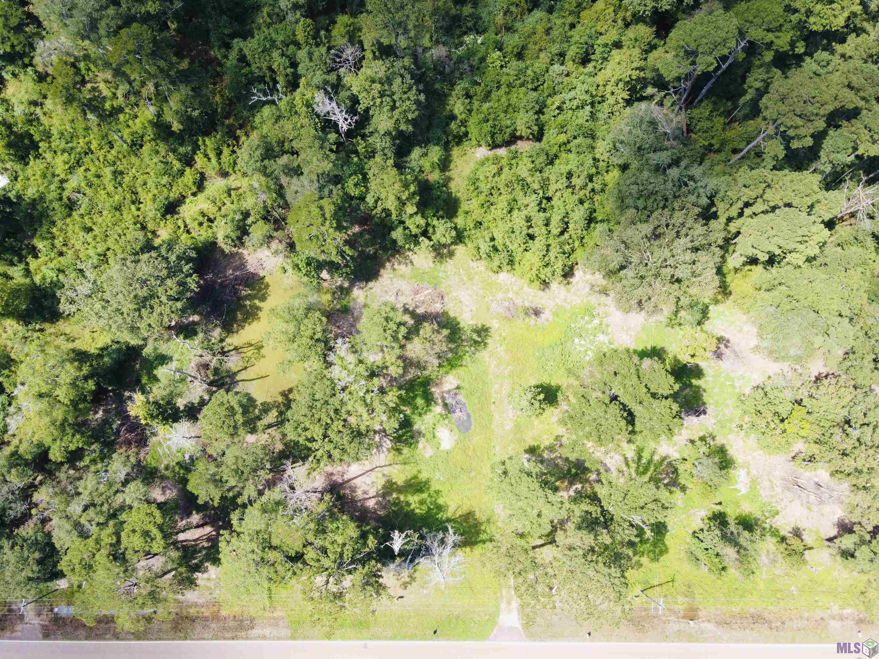 31483 LA HWY 1036, Holden, LA 70744