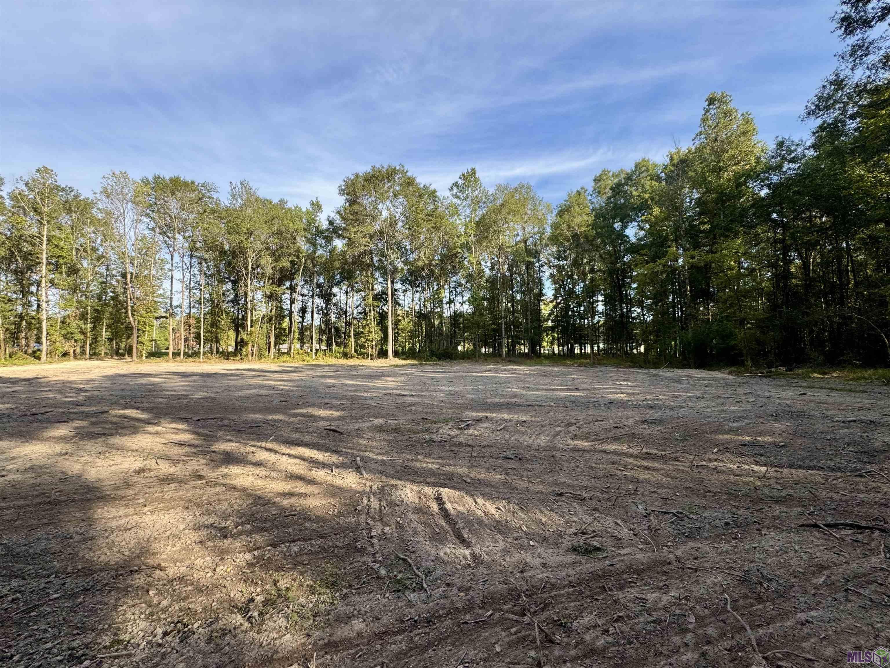 SF-11 LA HWY 16, Denham Springs, LA 70706