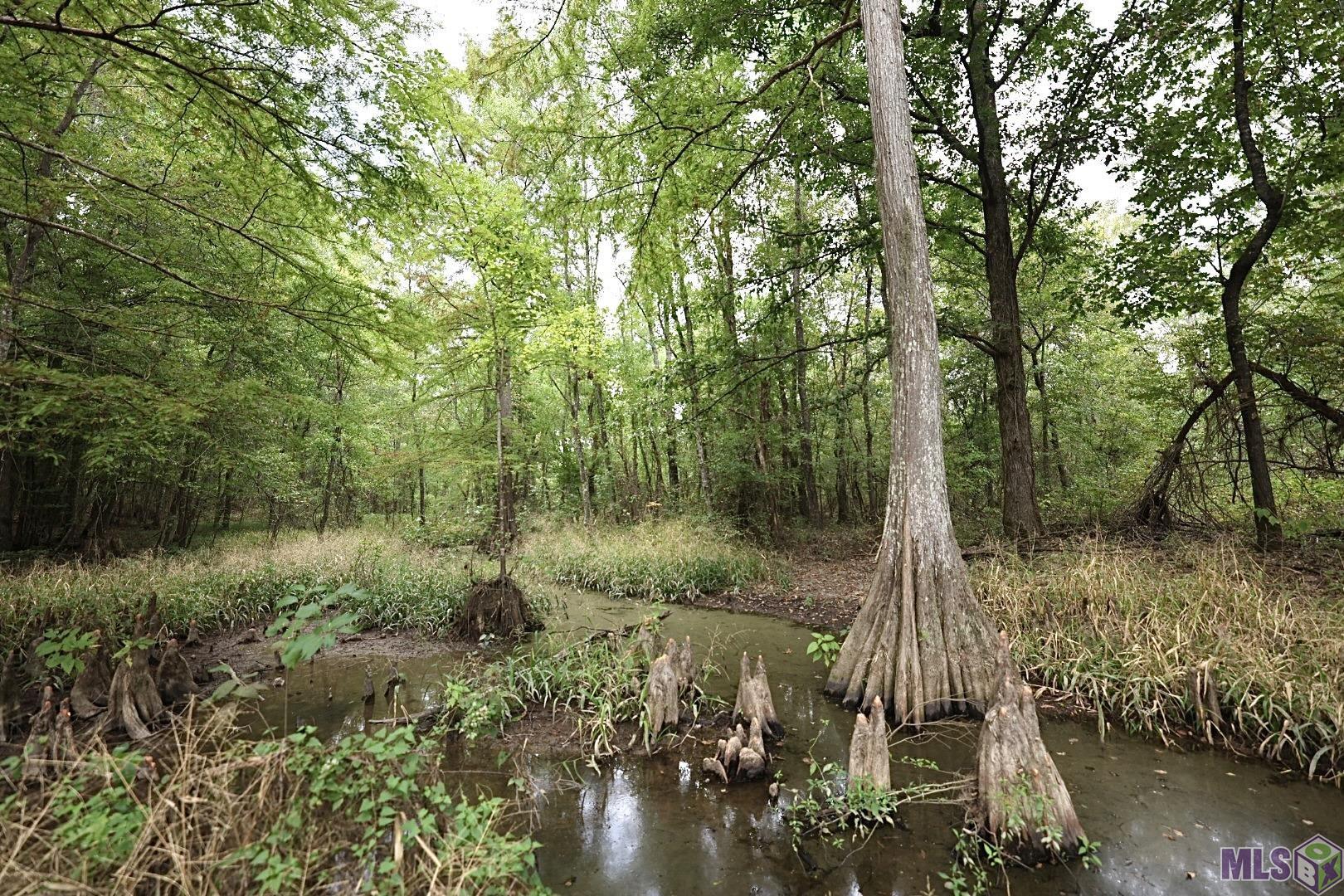 211 Fred Rogers Road, Montgomery, LA 70394