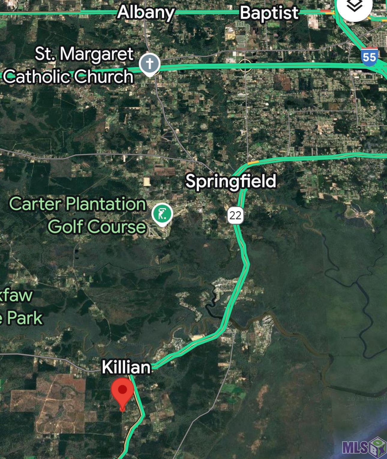 18943 AUSTIN ST, Springfield, LA 70462