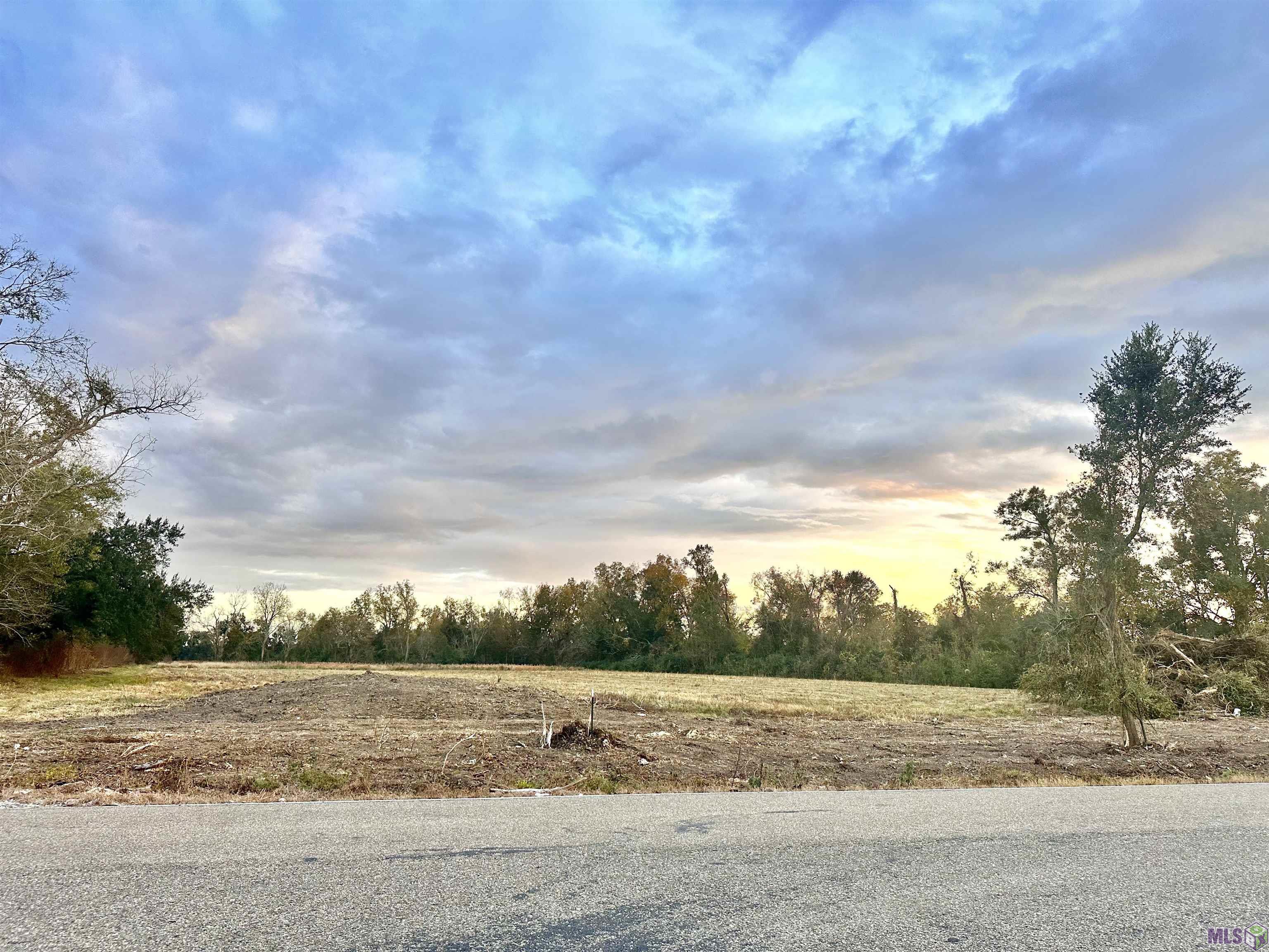 Lot #2 LA HWY 22, Darrow, LA 70725