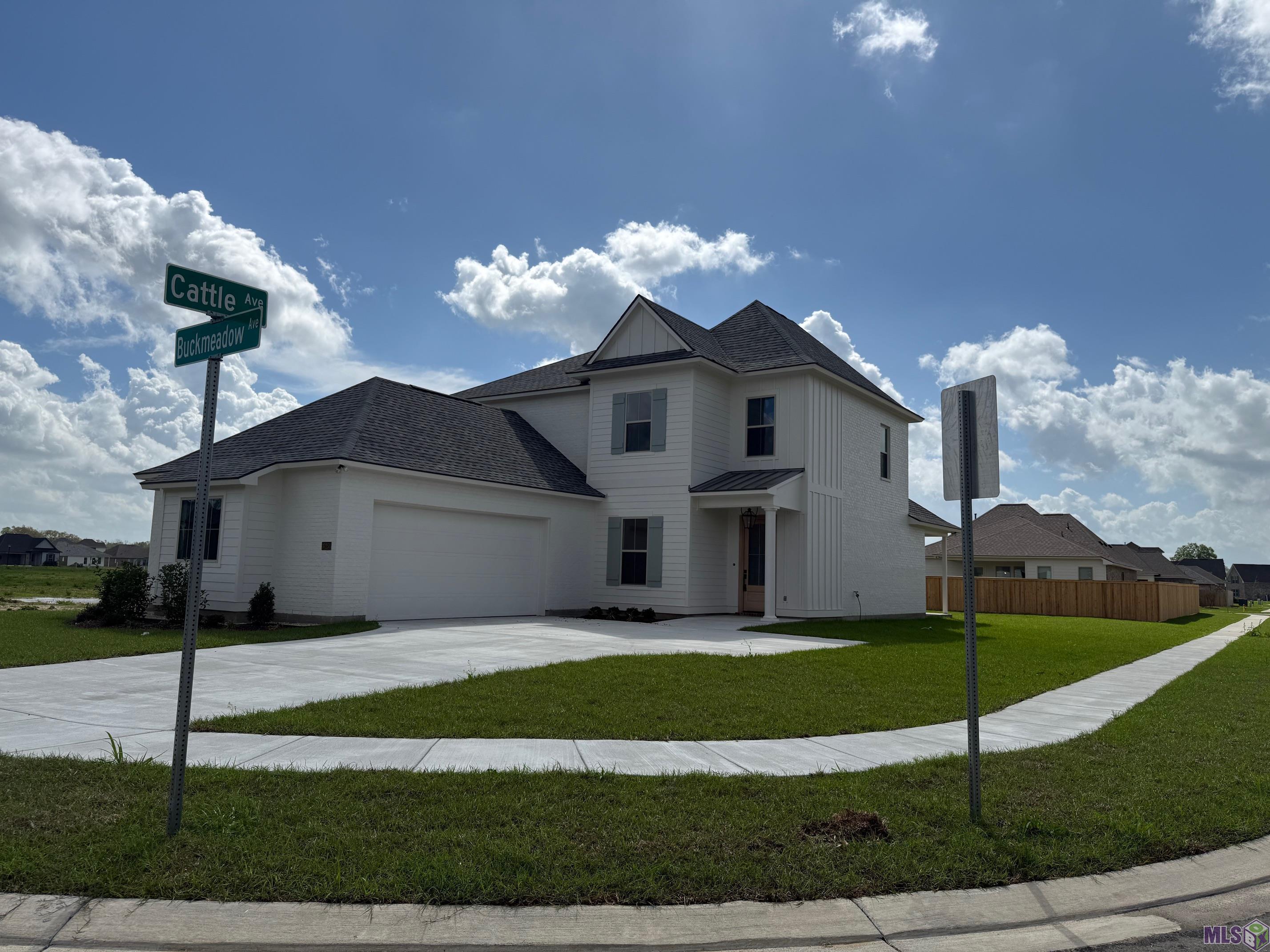 37253 Buckmeadow Avenue, Prairieville, LA 70769