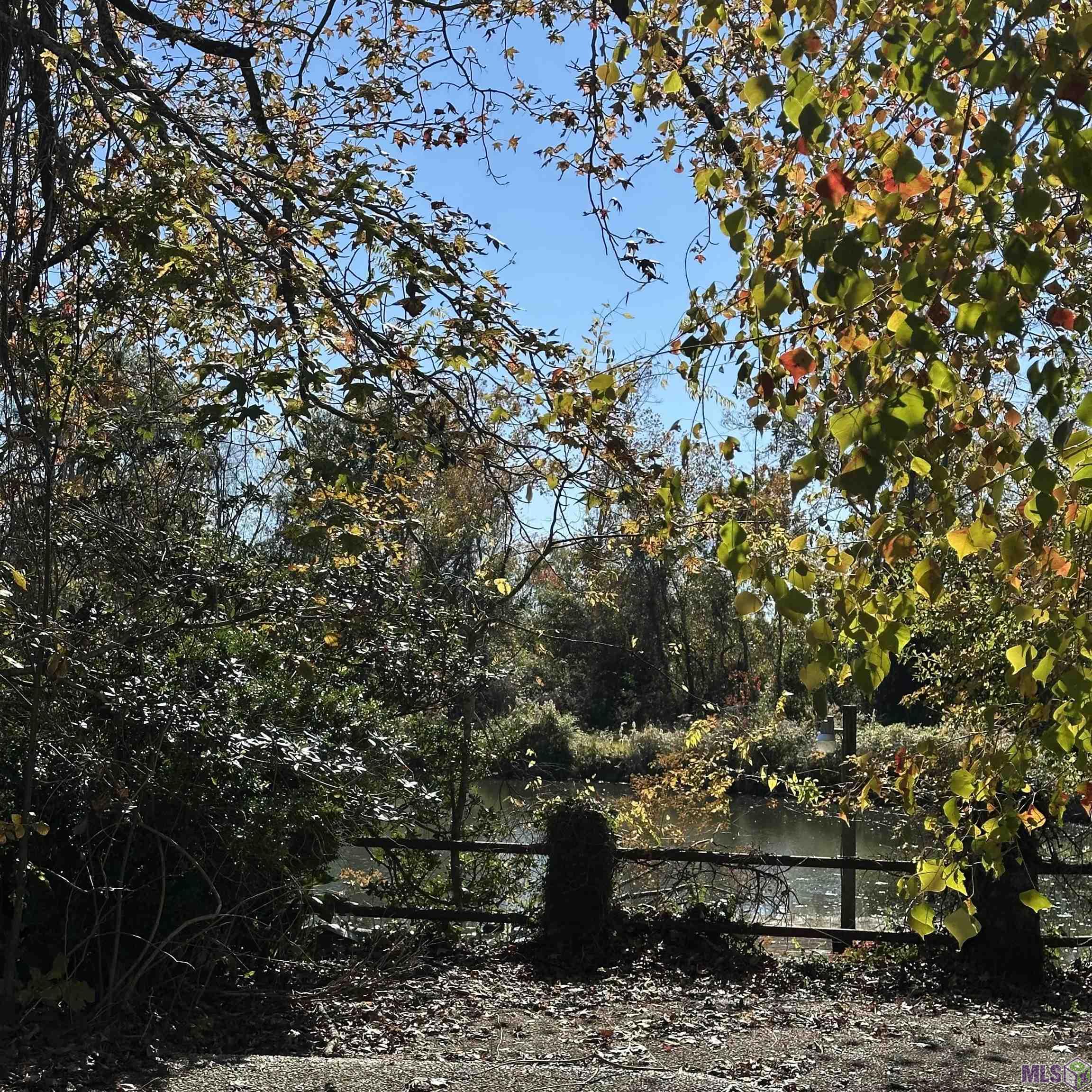Photo 45