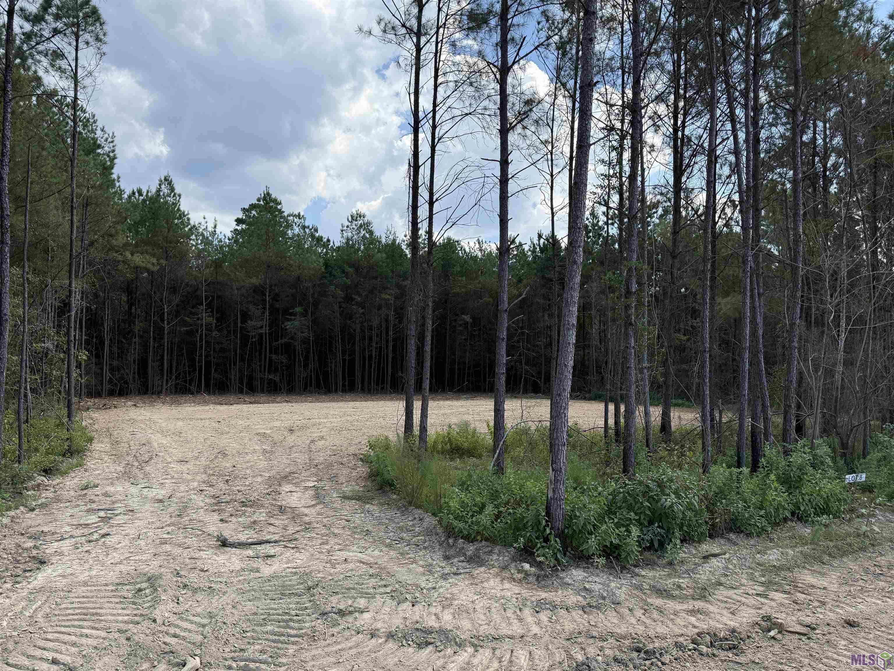 Lot 21 Honey Grove, Livingston, LA 70754