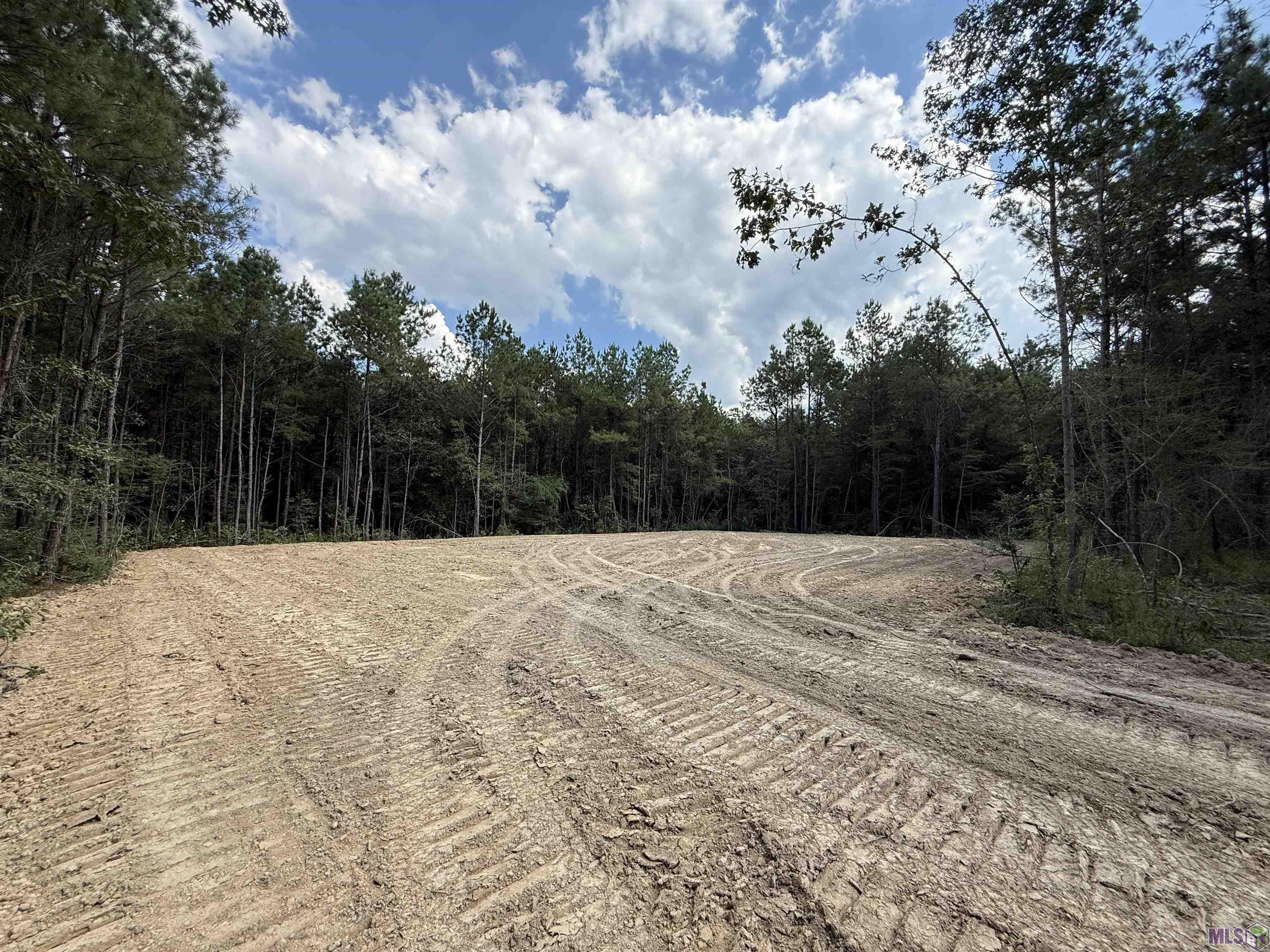 Lot 21 Honey Grove, Livingston, LA 70754