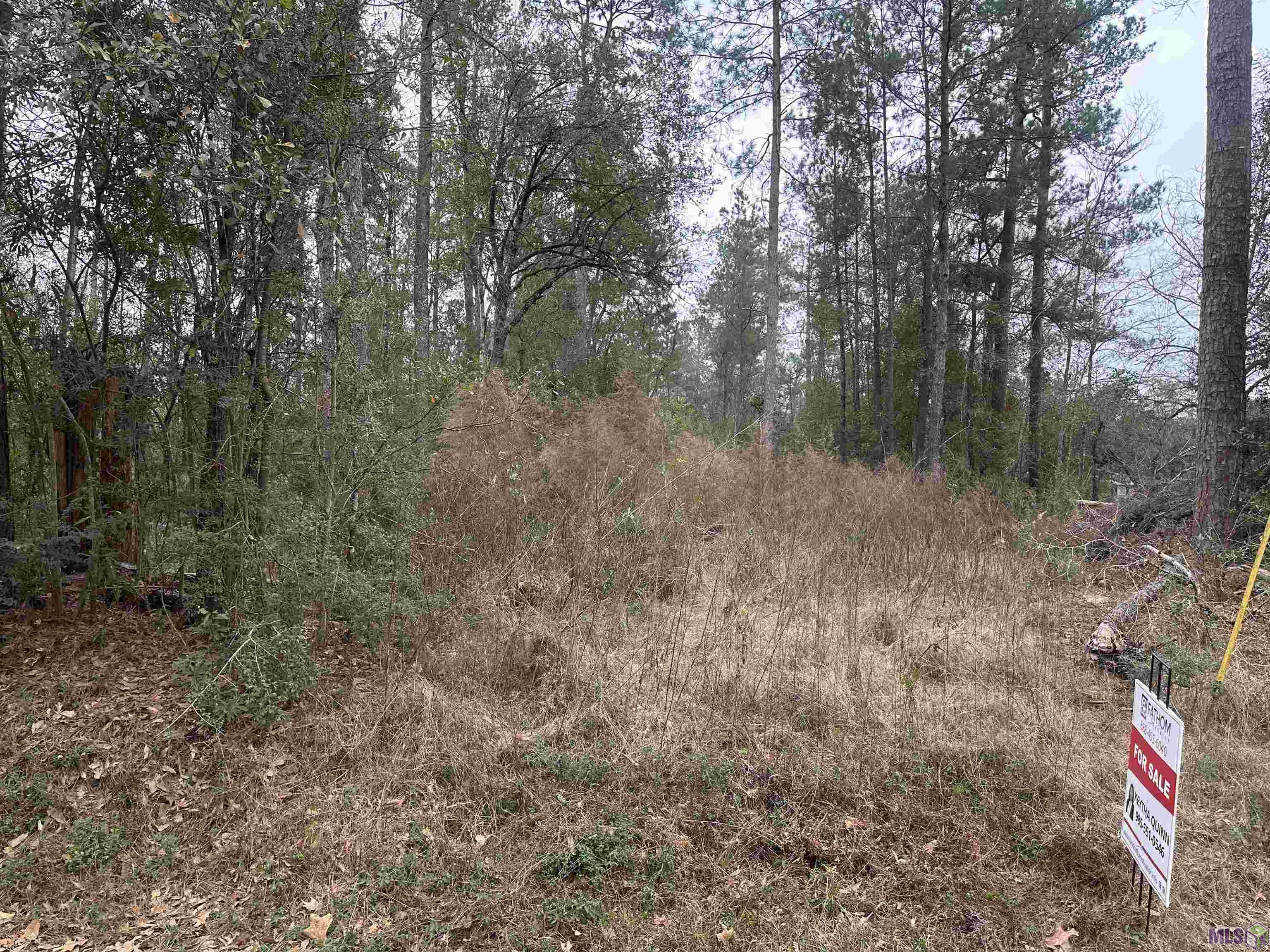 0 NORTHWOOD DR, Hammond, LA 70401