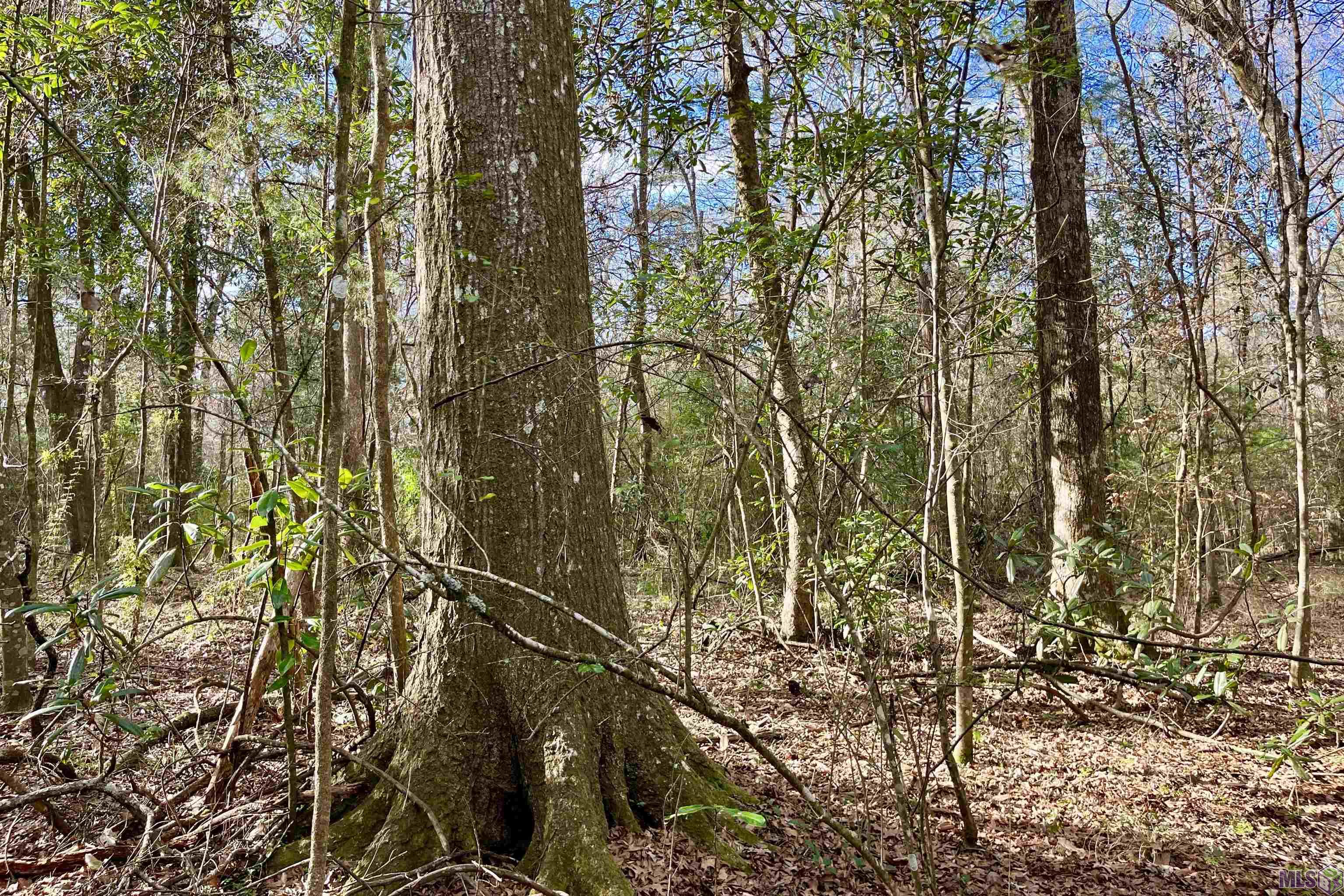 20 LILLIAN LN, Ethel, LA 70730