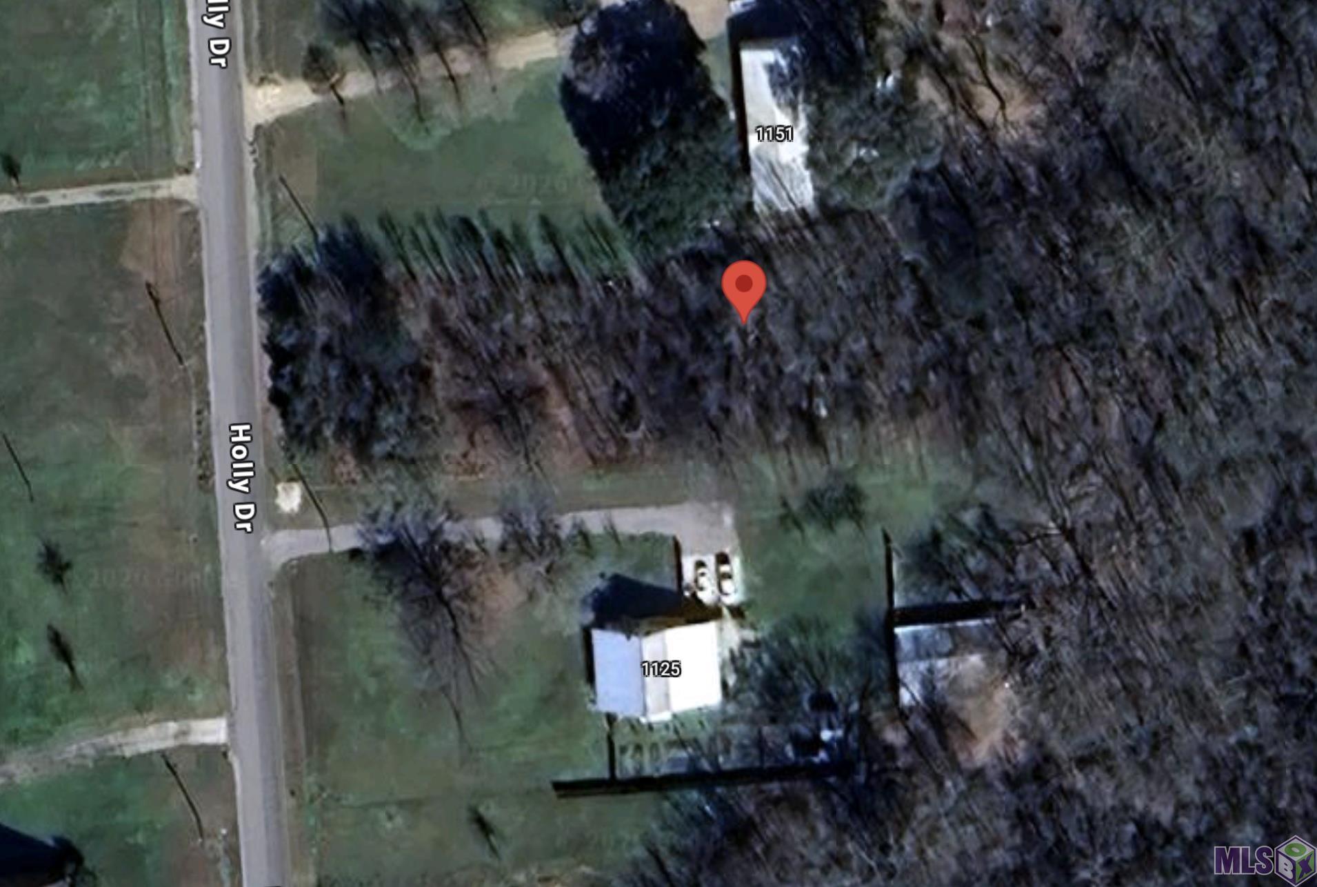 1139 HOLLY DR, Slaughter, LA 70777