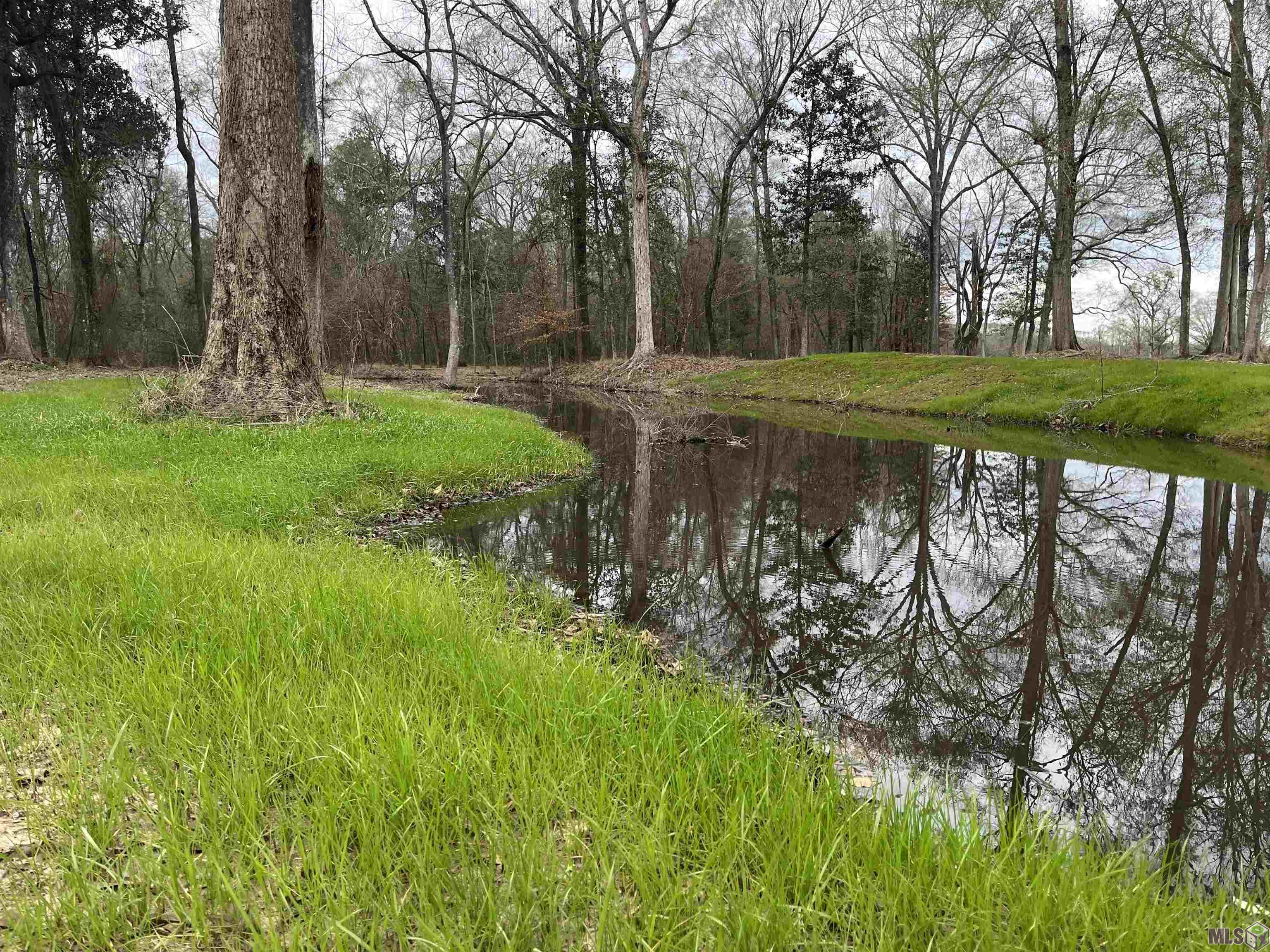 LEMON RD, Slaughter, LA 70777