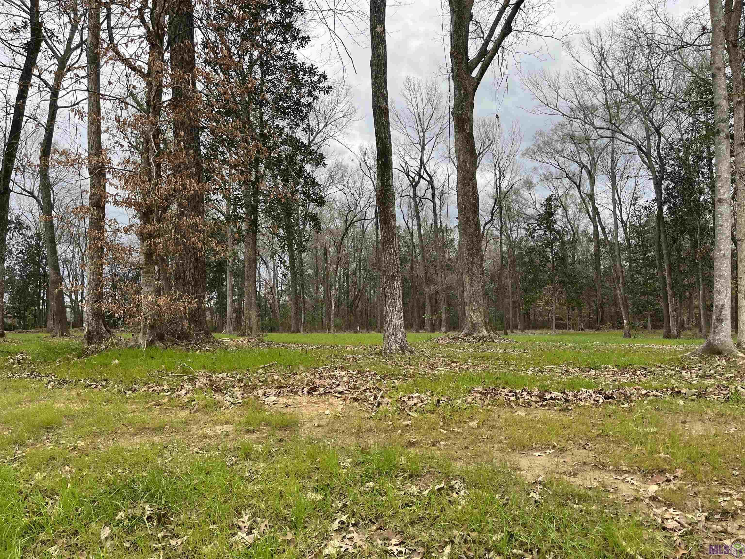 LEMON RD, Slaughter, LA 70777