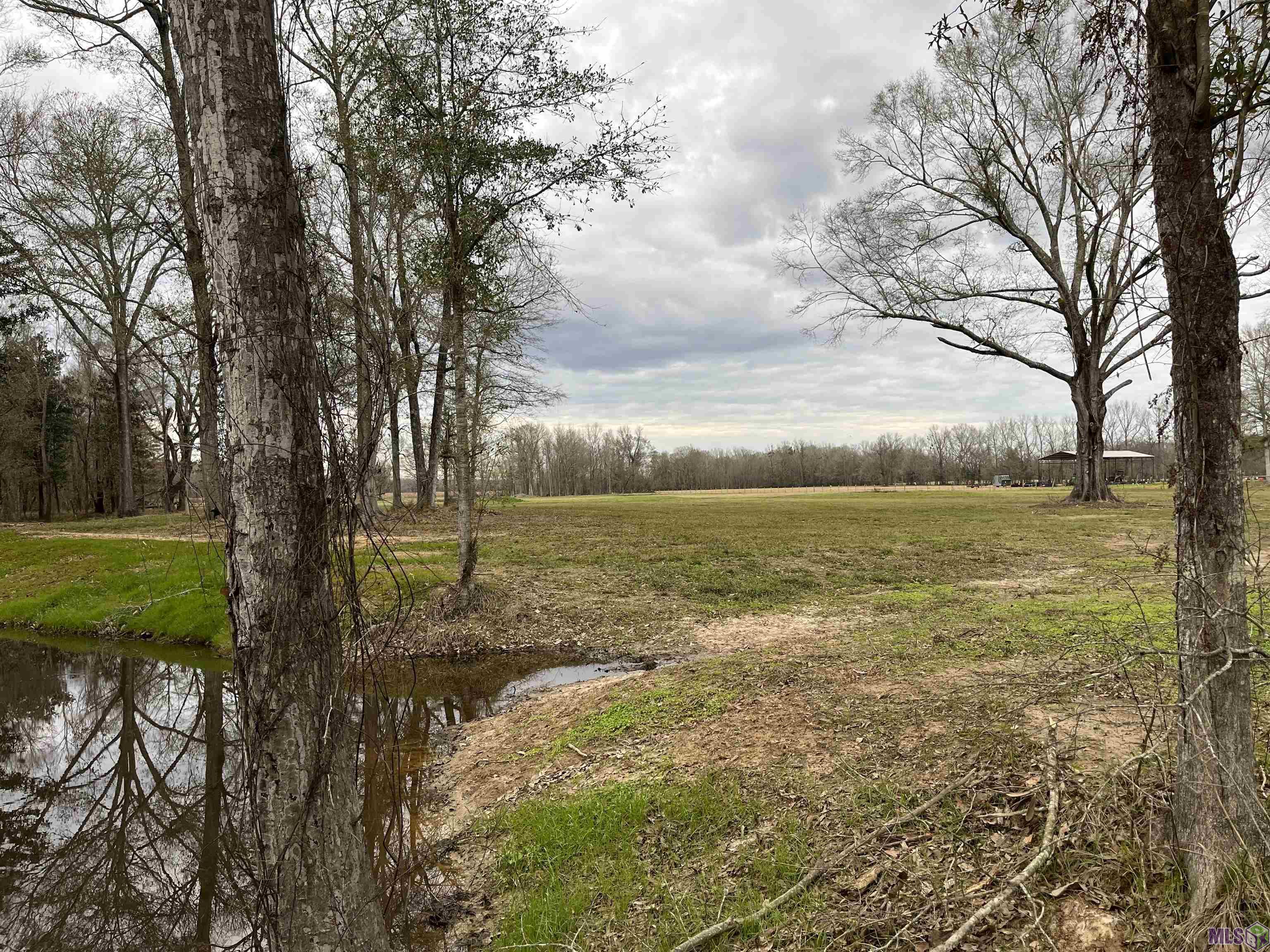 LEMON RD, Slaughter, LA 70777