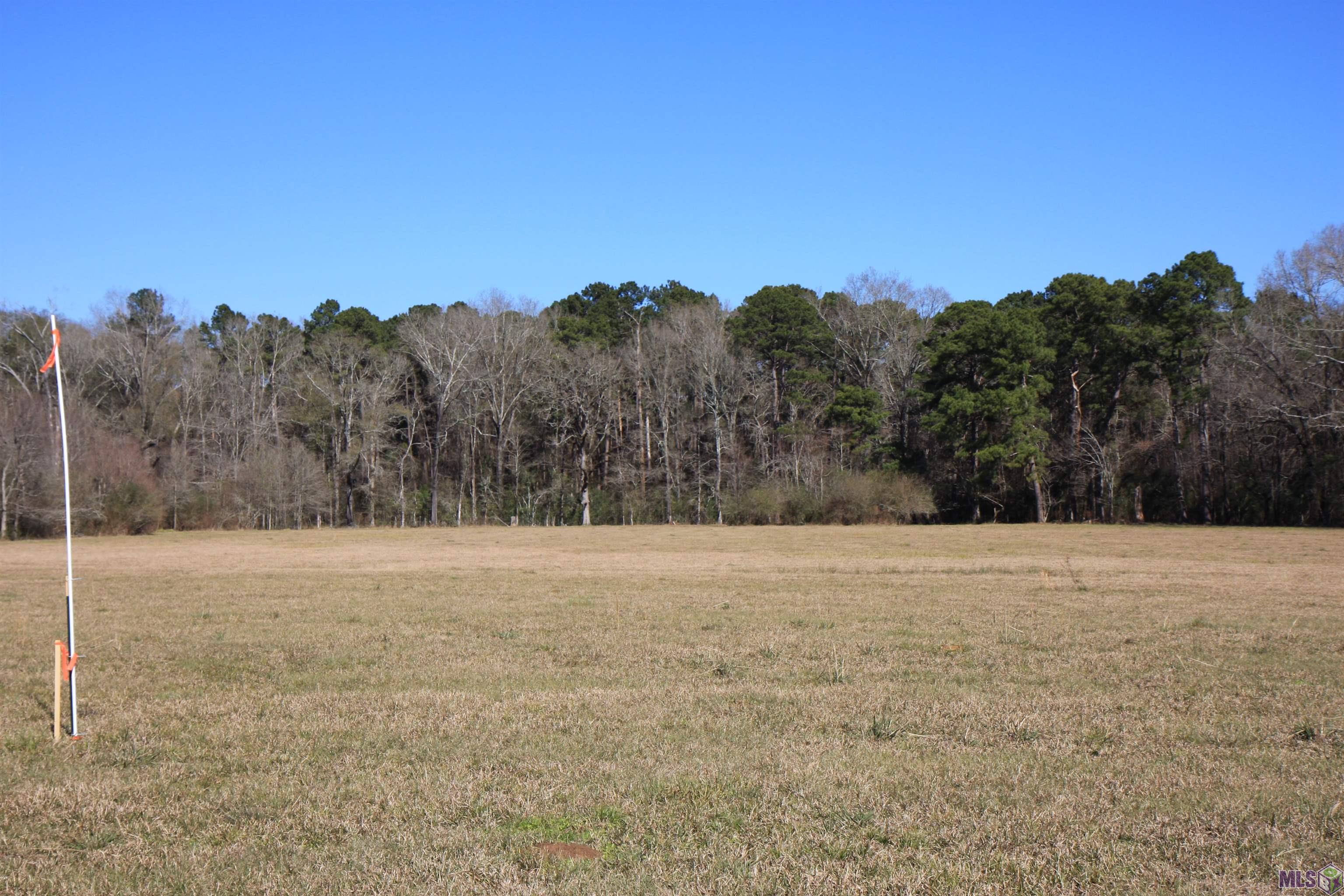 TBD Lot 5 LA HWY 958, Slaughter, LA 70777