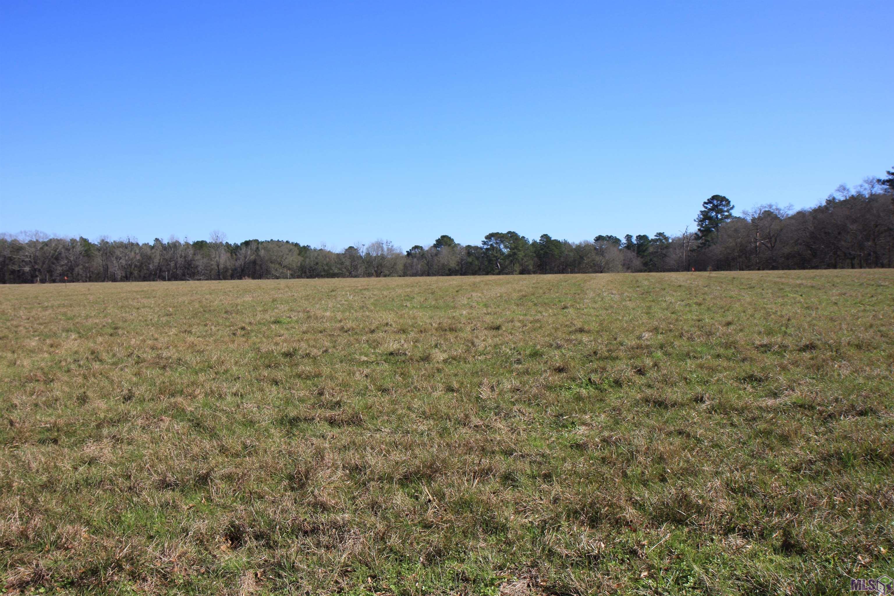 TBD Lot 7 COOK RD, Slaughter, LA 70777