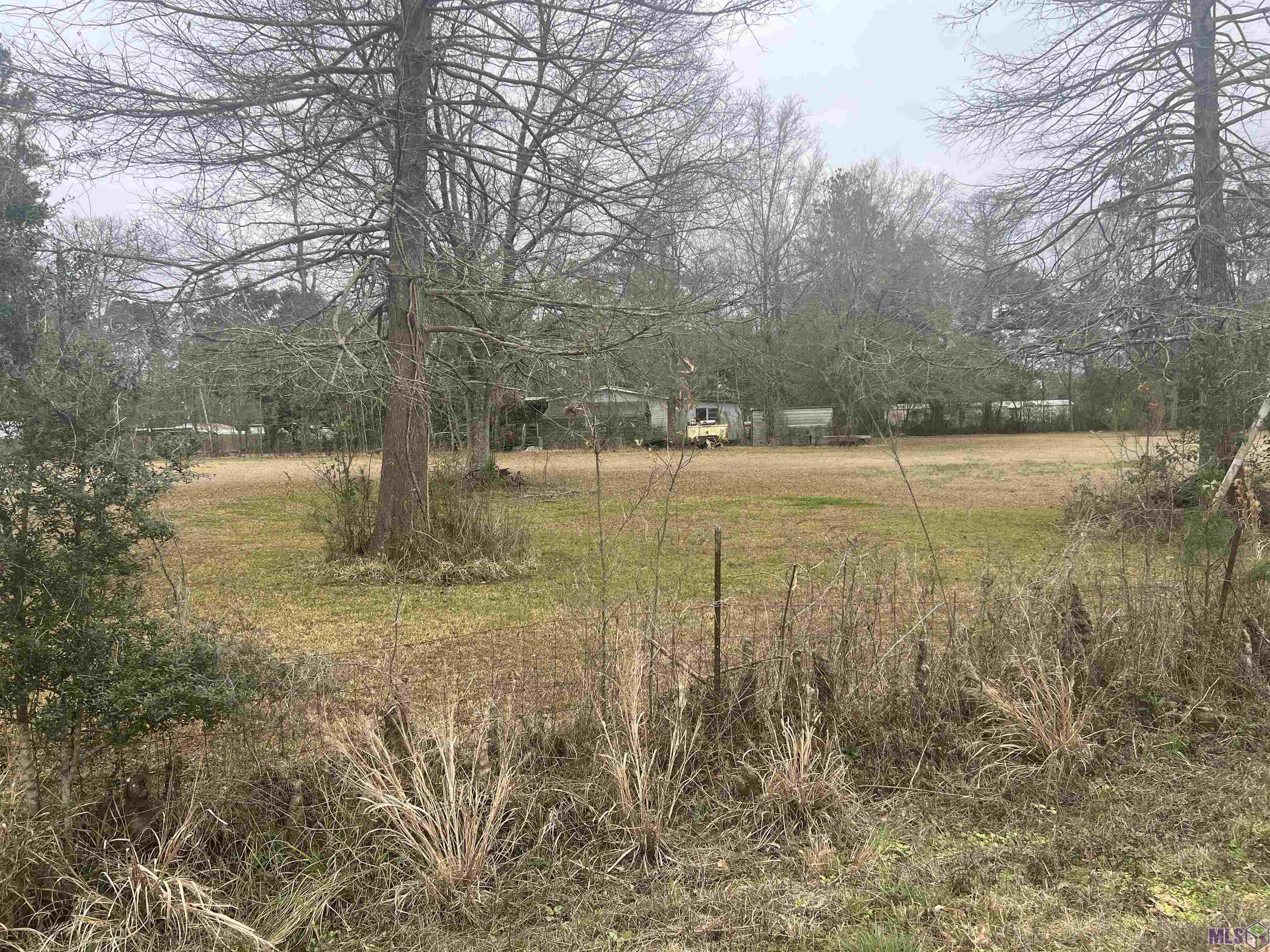 tbd10 PAT'S Lane, Springfield, LA 70462