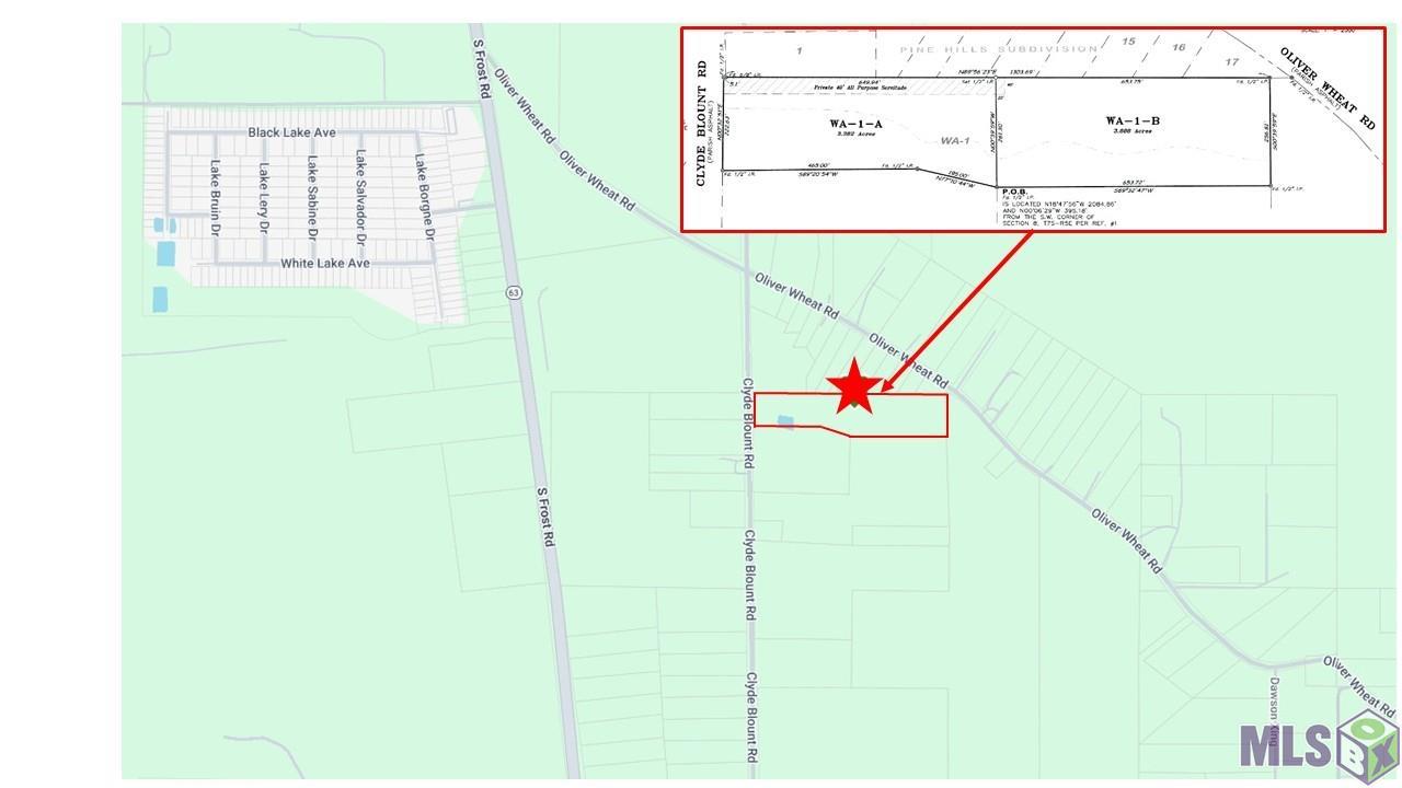 26430 CLYDE BLOUNT RD, Livingston, LA 70754