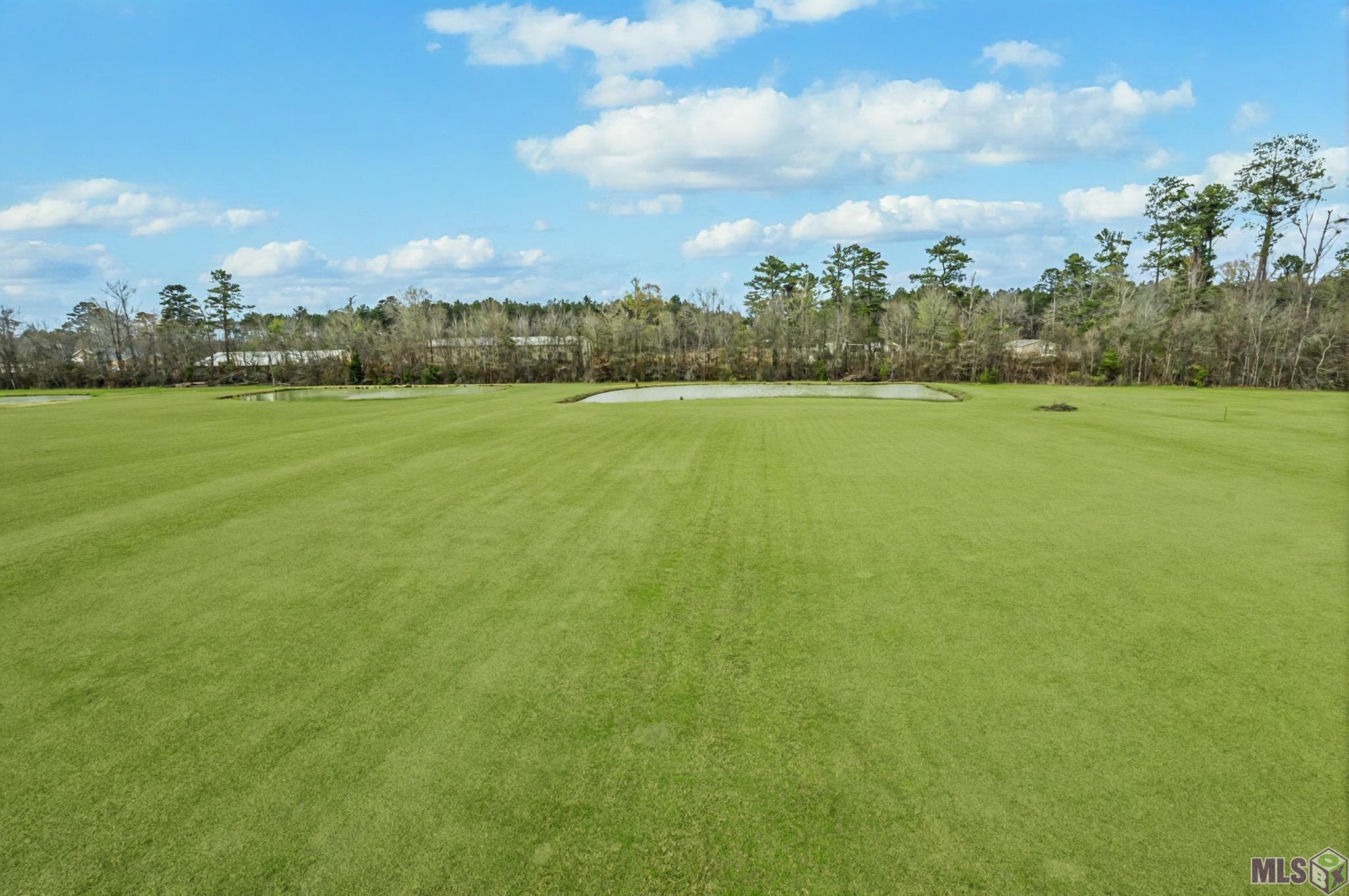 21293 Mayberry Lane, Livingston, LA 70754