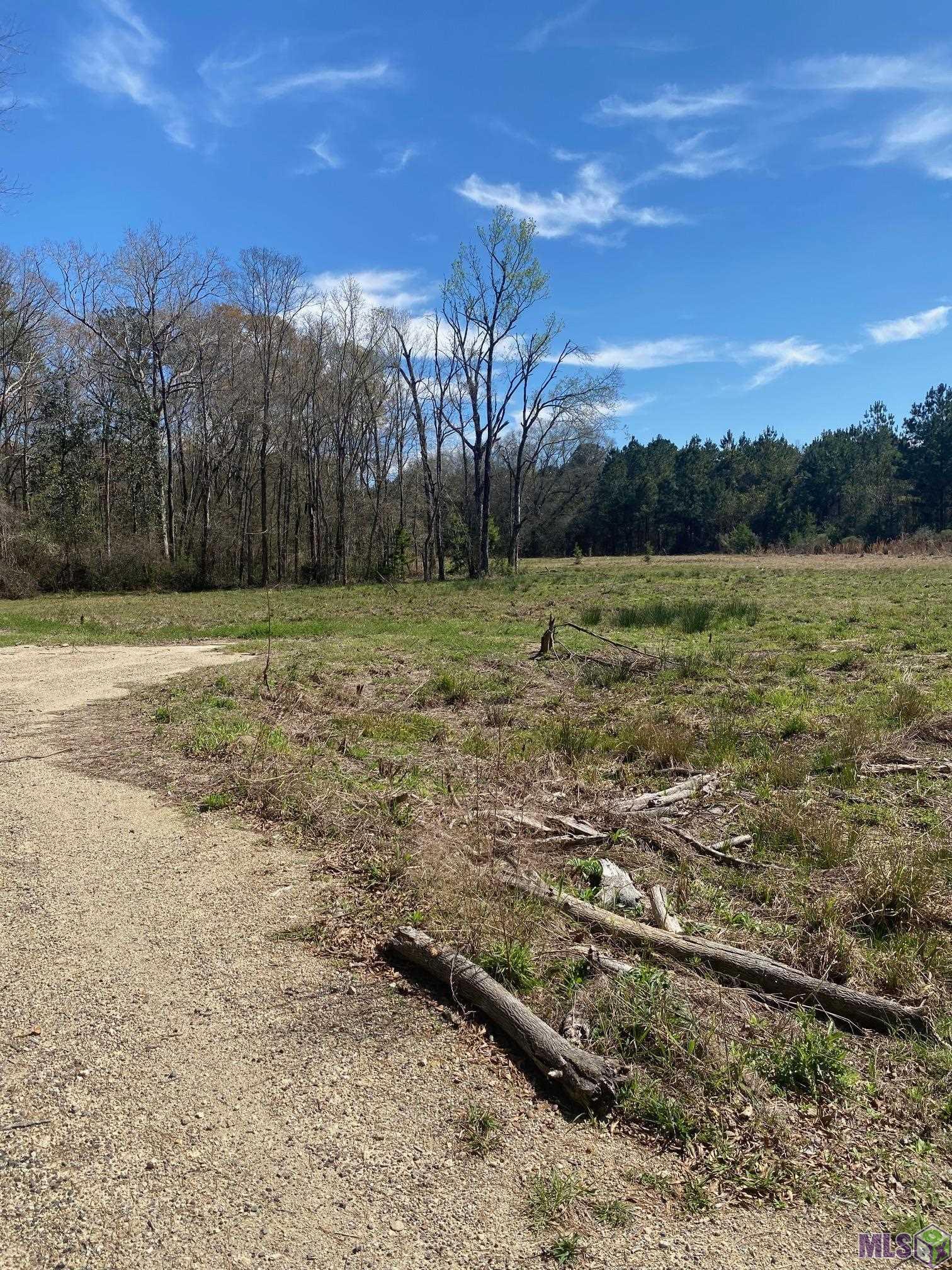 B-1-A-3 SPRING HOUSE DR, Greenwell Springs, LA 70739