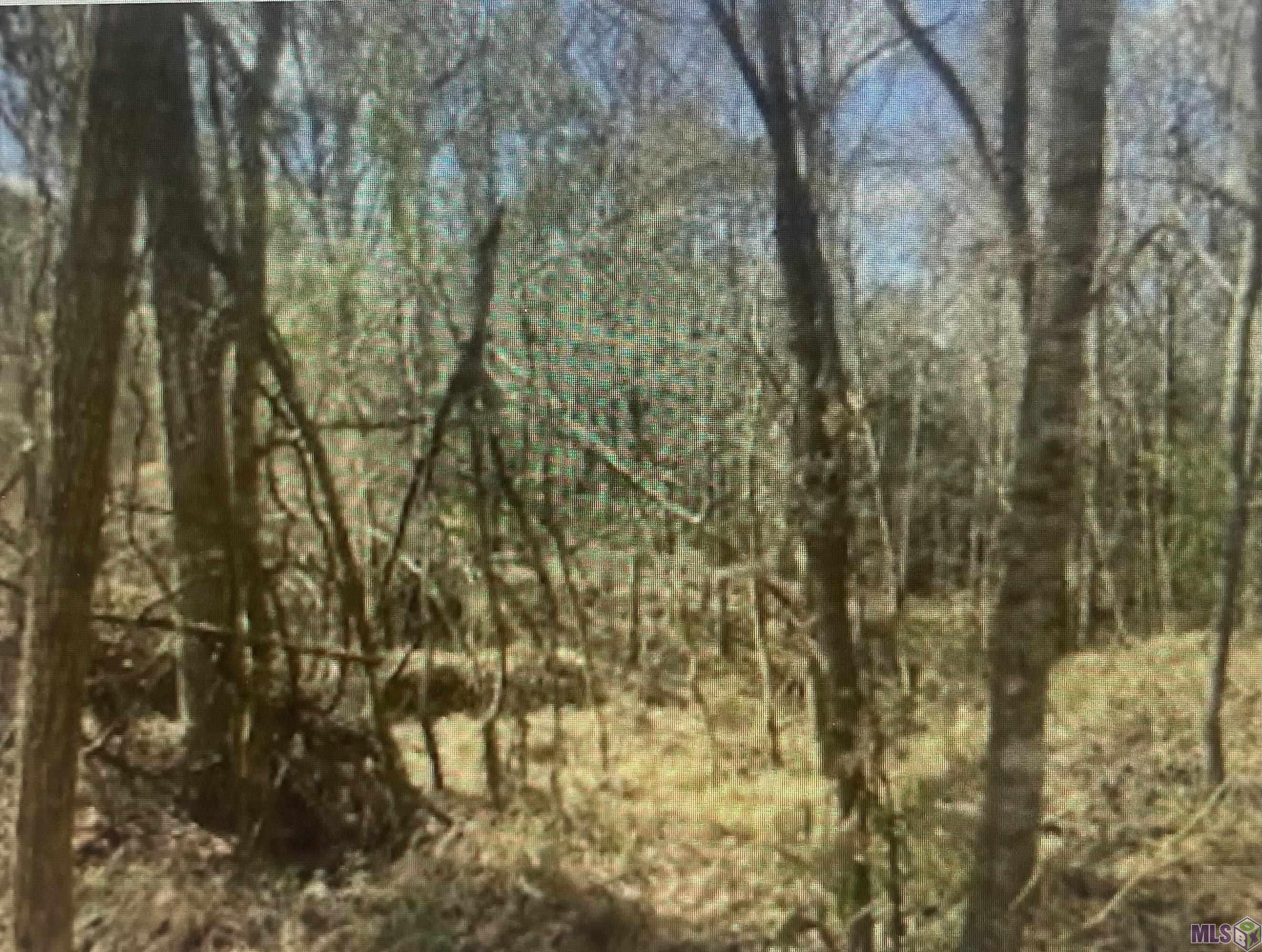 00 TURKEY CREEK RD, Natchez, MS 39120