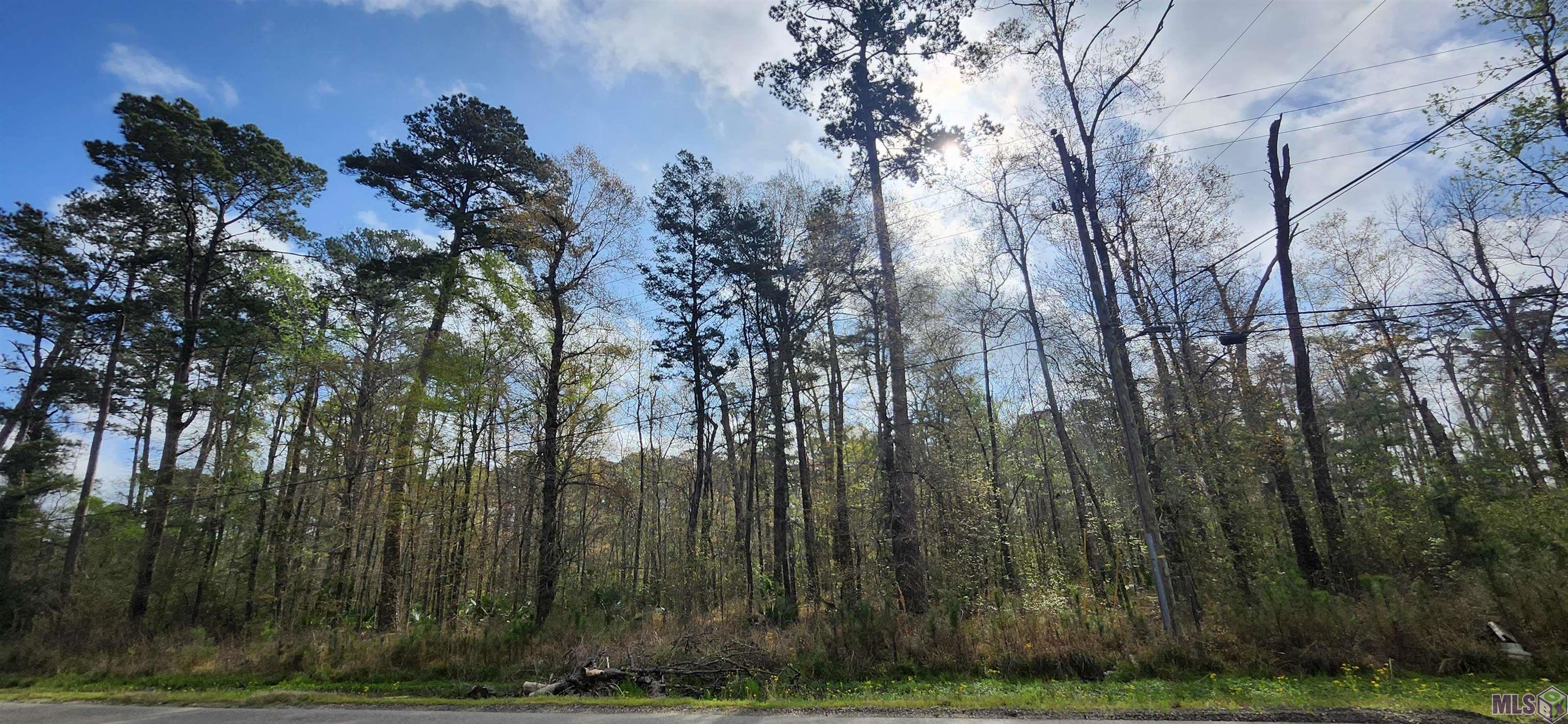 Tract A-4 REINNINGER RD, Denham Springs, LA 70706