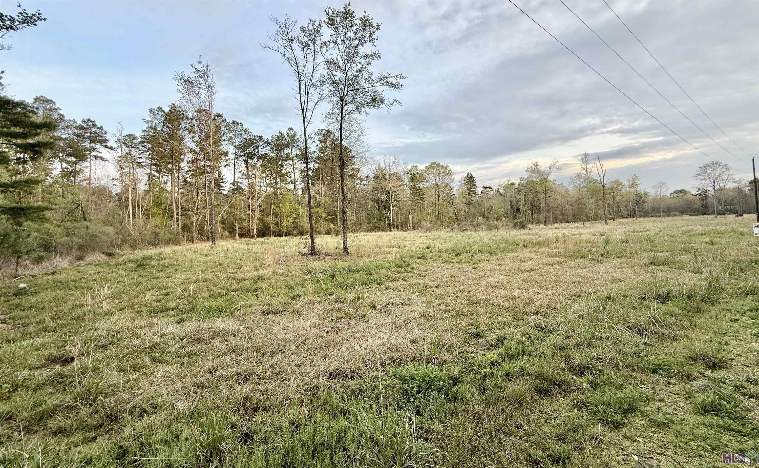 18826 CREOLE LN, Livingston, LA 70754