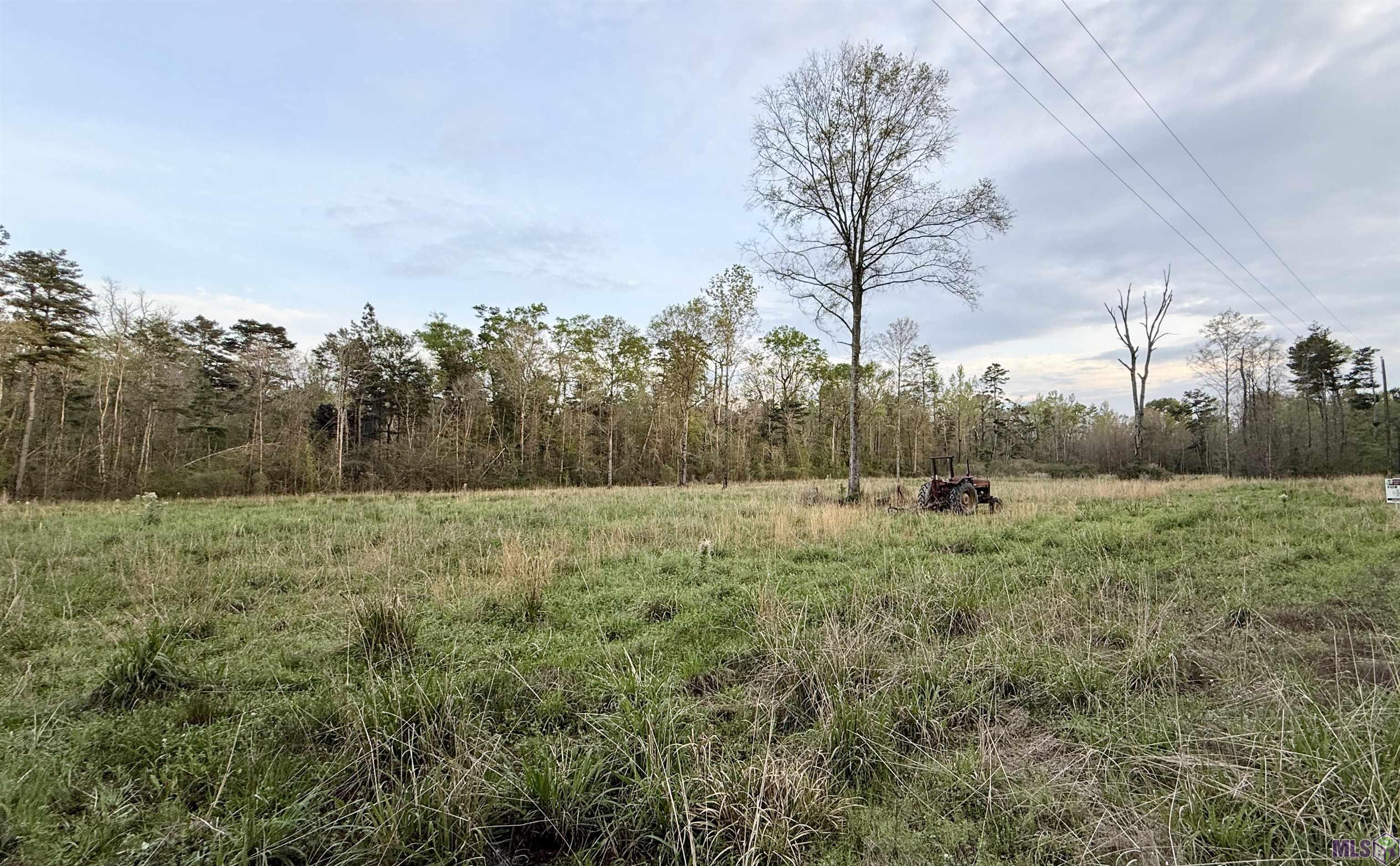 18776 CREOLE LN, Livingston, LA 70754