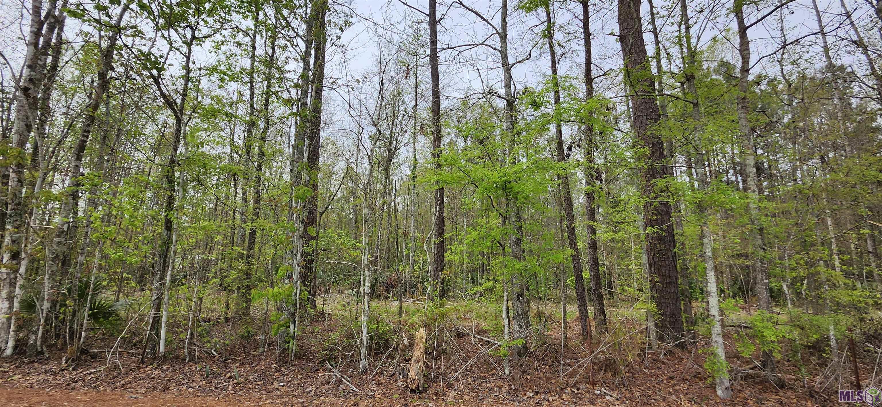 Lot A-1 LOD STAFFORD RD, Walker, LA 70785