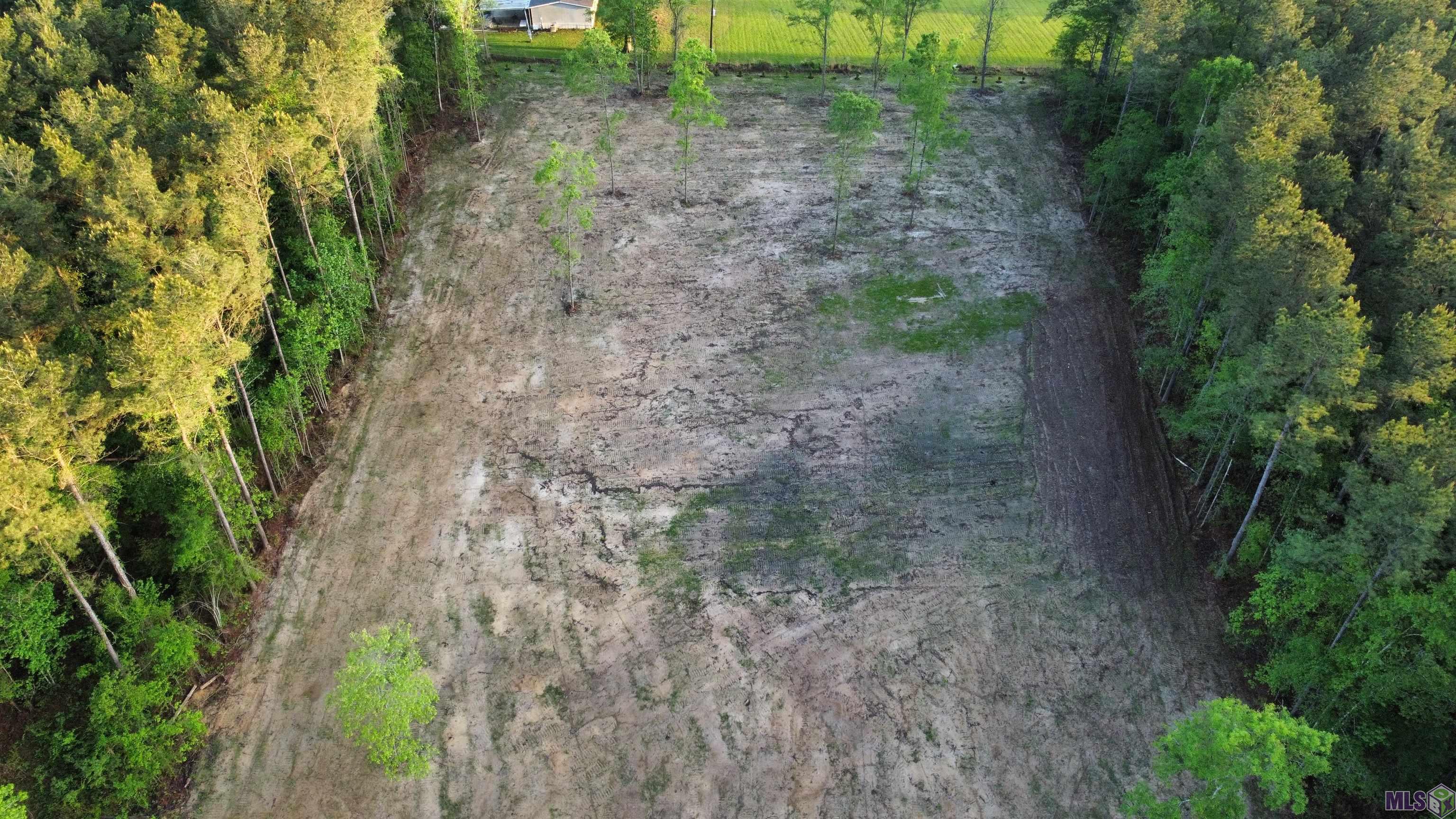 21154 Butterbean Ridge, Livingston, LA 70754