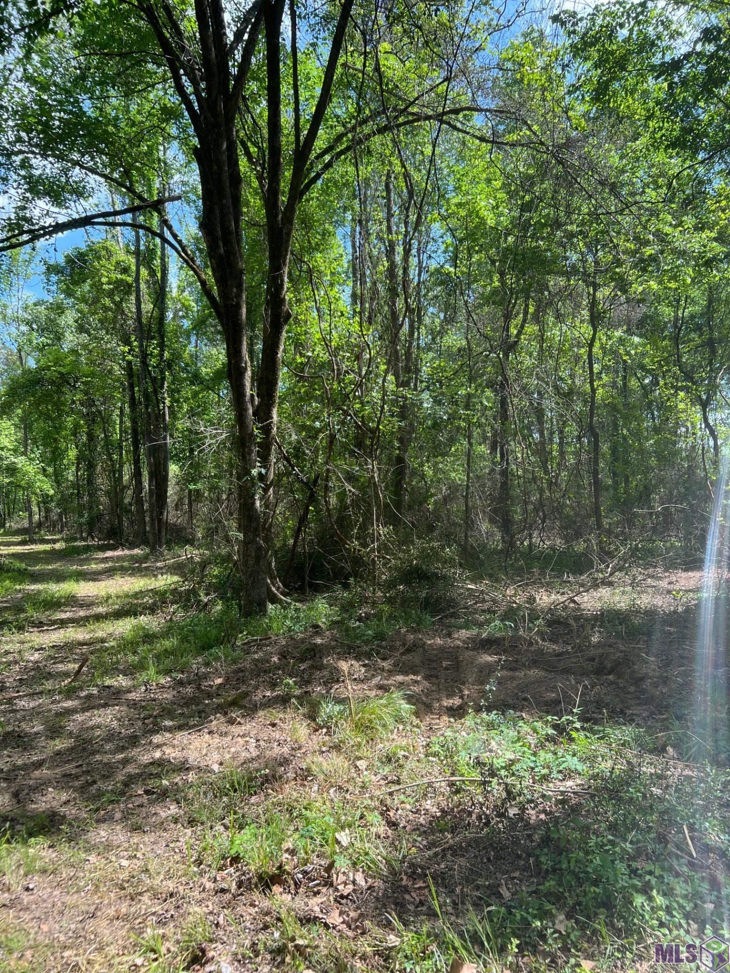 TBD LEMON B RD, Slaughter, LA 70777