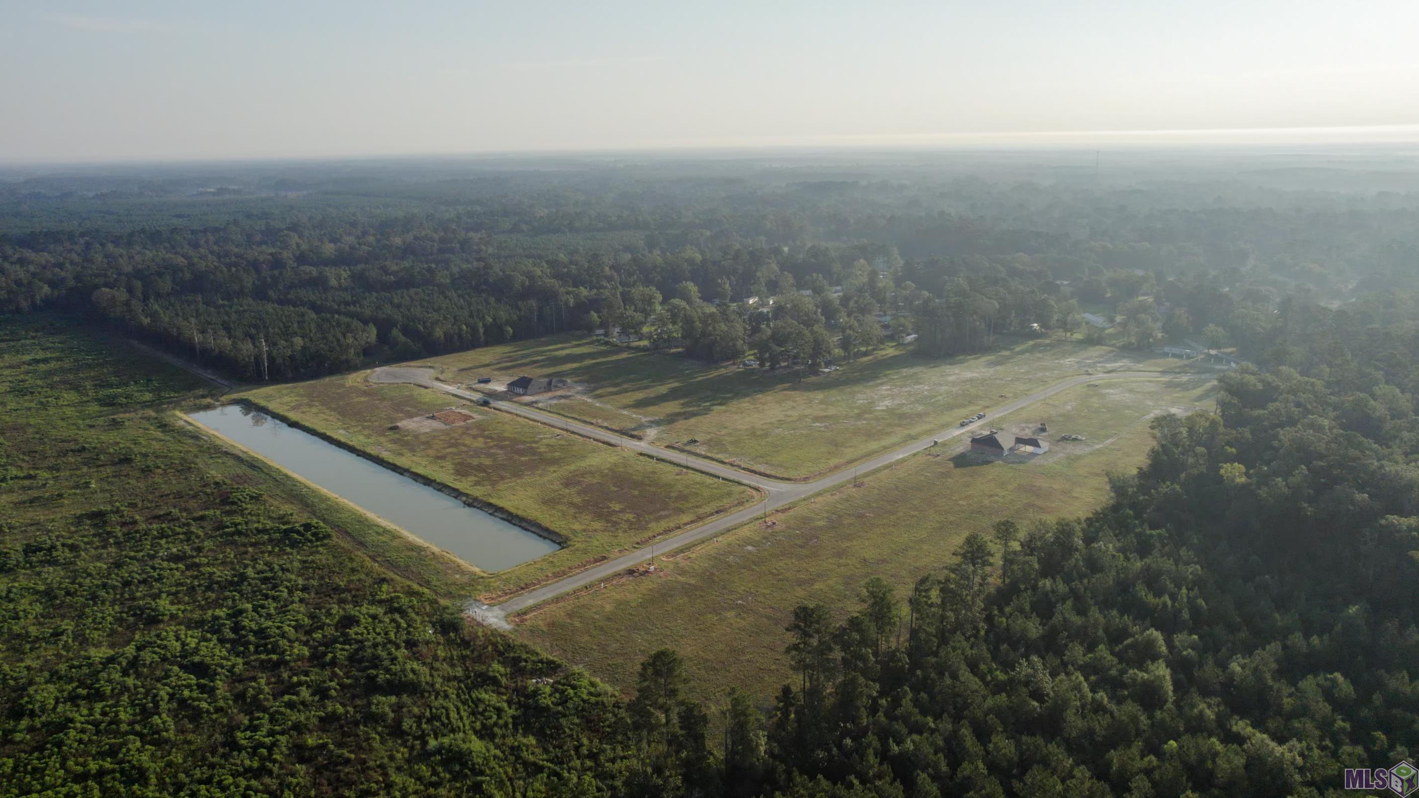 24122 Red Tail Lane, Denham Springs, LA 70726