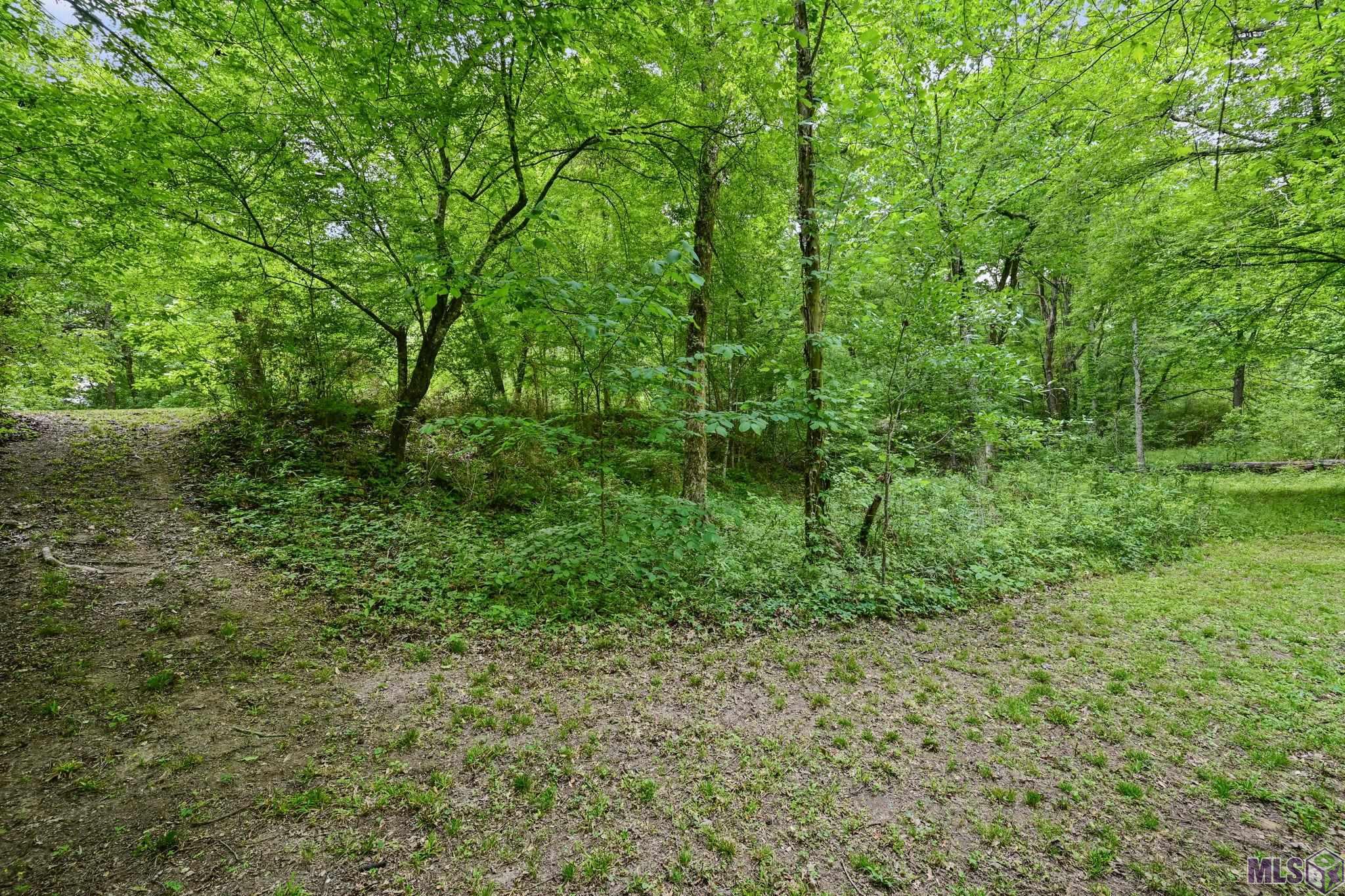 Photo 42