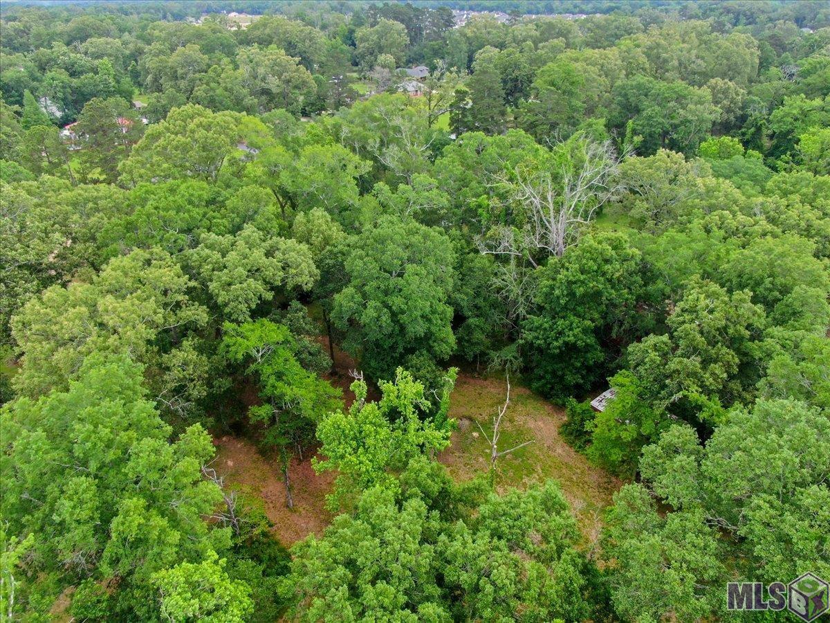 Photo 53