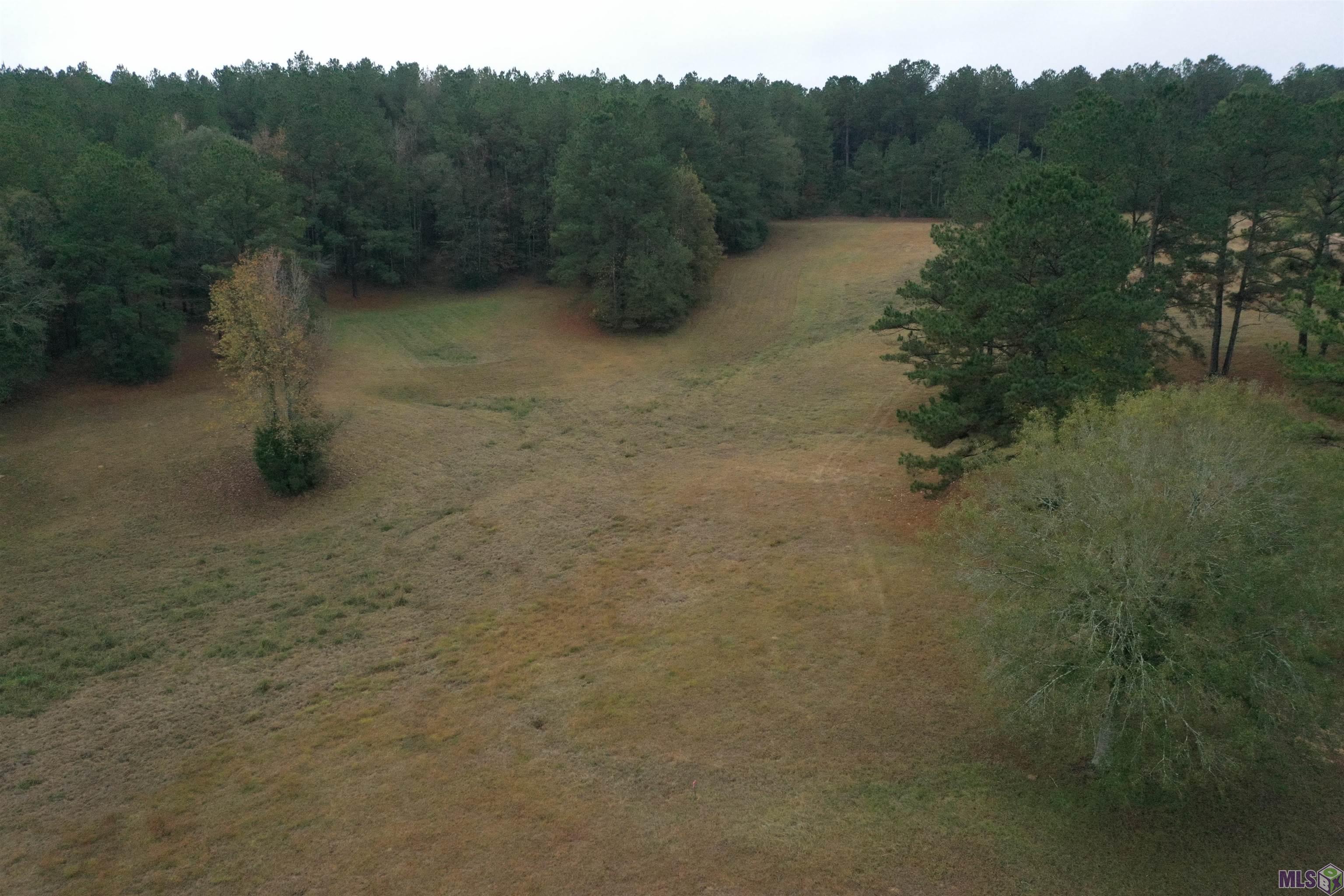 Photo 49