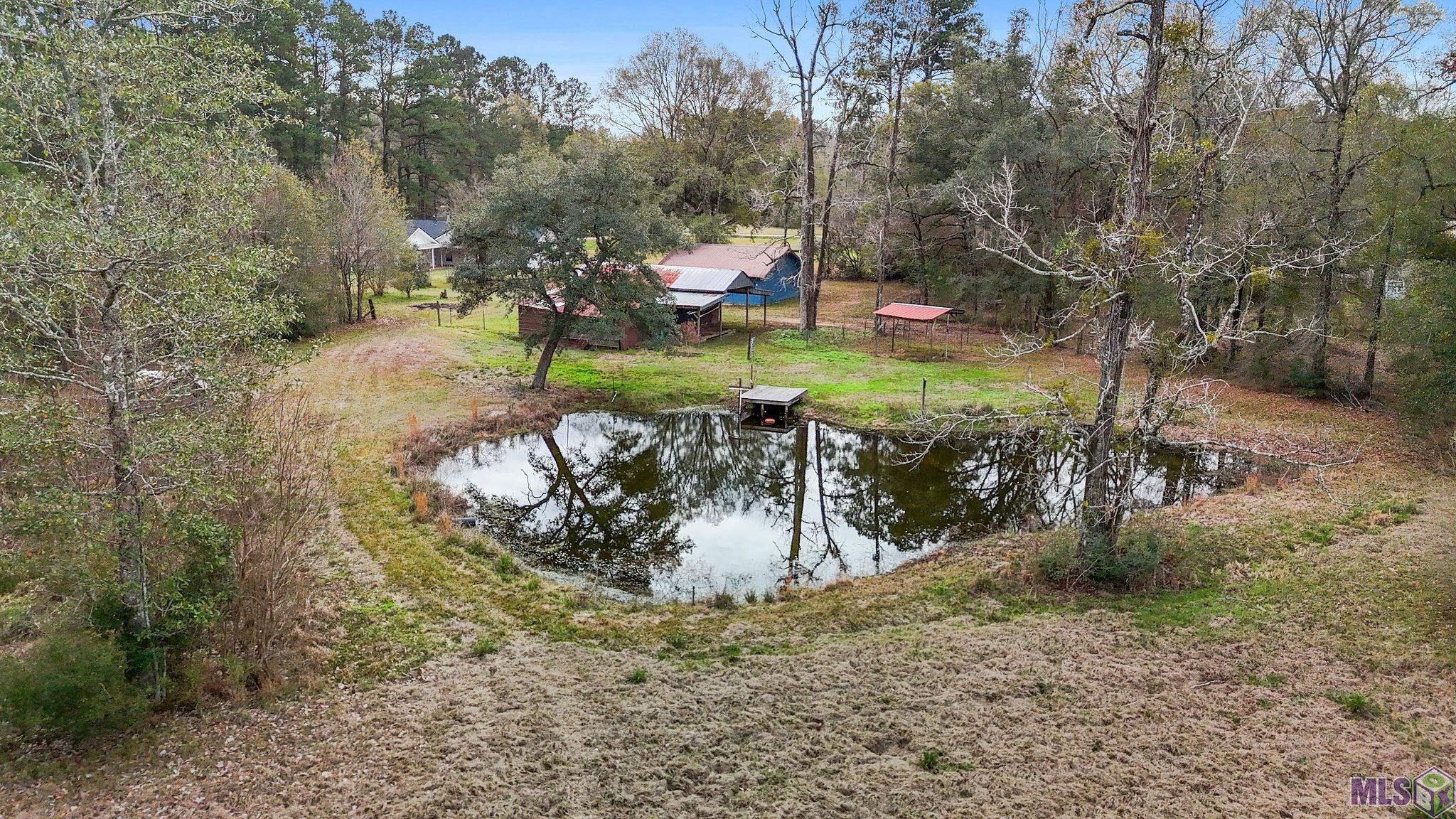 29417 MARY KINCHEN RD, Albany, LA 70711