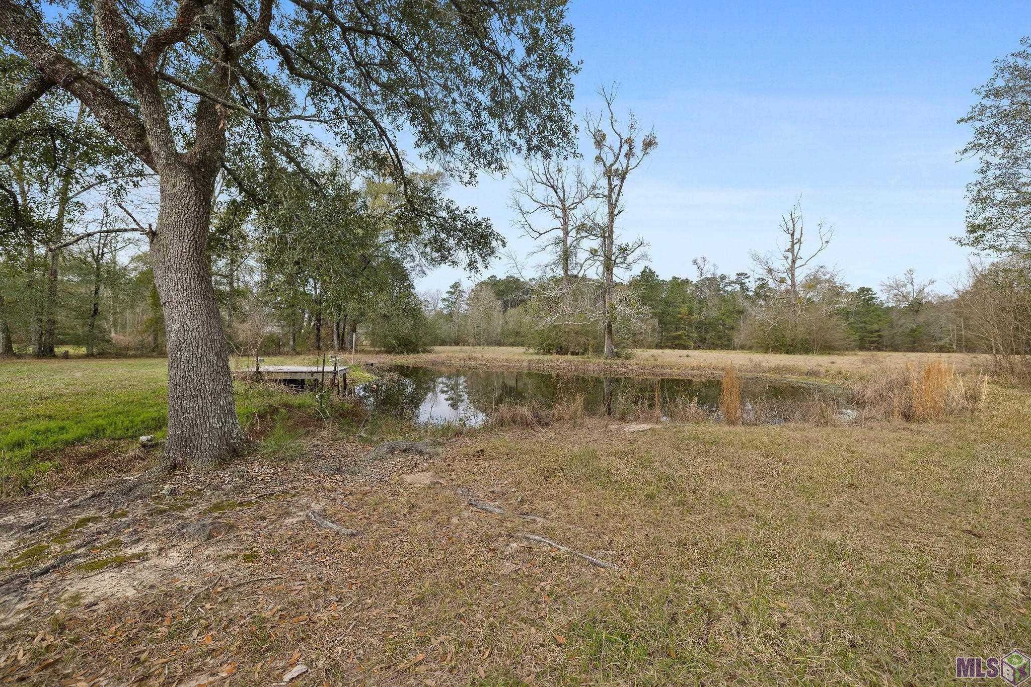 29417 MARY KINCHEN RD, Albany, LA 70711